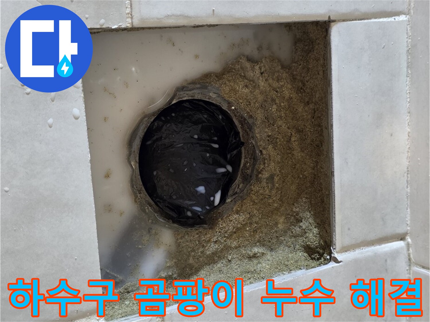 과천 문원동 욕실 하수구 주변 곰팡이 누수 - 곰팡이 핀 하수구, 완벽한 방수로 곰팡이 걱정 끝