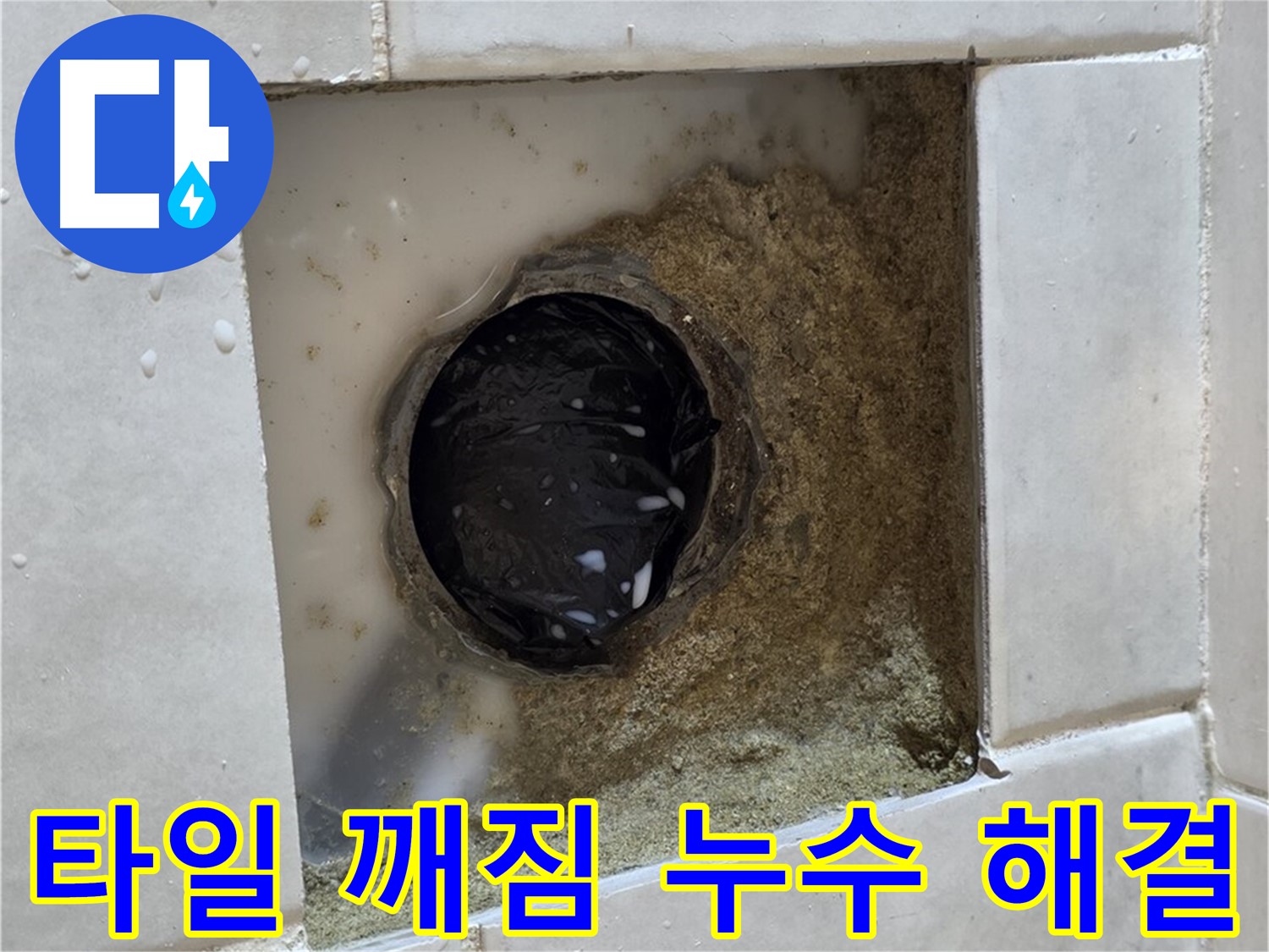 과천 문원동 욕실 하수구 주변 타일 깨짐 누수 - 깨진 타일 틈새의 물기, 꼼꼼한 점검과 완벽한 해결