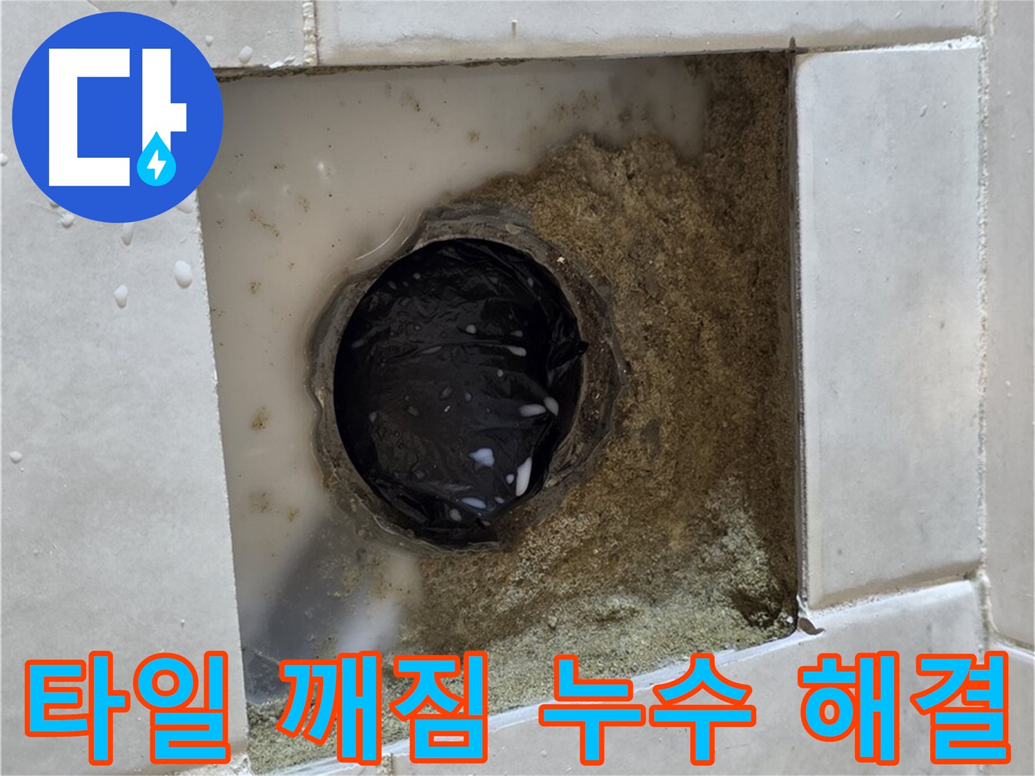 과천 문원동 욕실 하수구 주변 타일 깨짐 누수 - 깨진 타일 틈새의 물기, 꼼꼼한 점검과 완벽한 해결