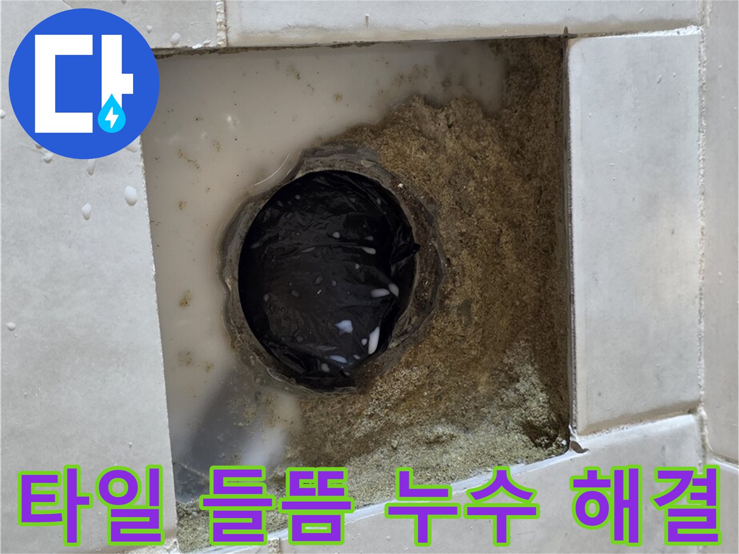 과천 문원동 욕실 하수구 주변 타일 들뜸 누수 - 들뜬 타일 틈새의 물, 깔끔한 시공으로 완벽하게 해결