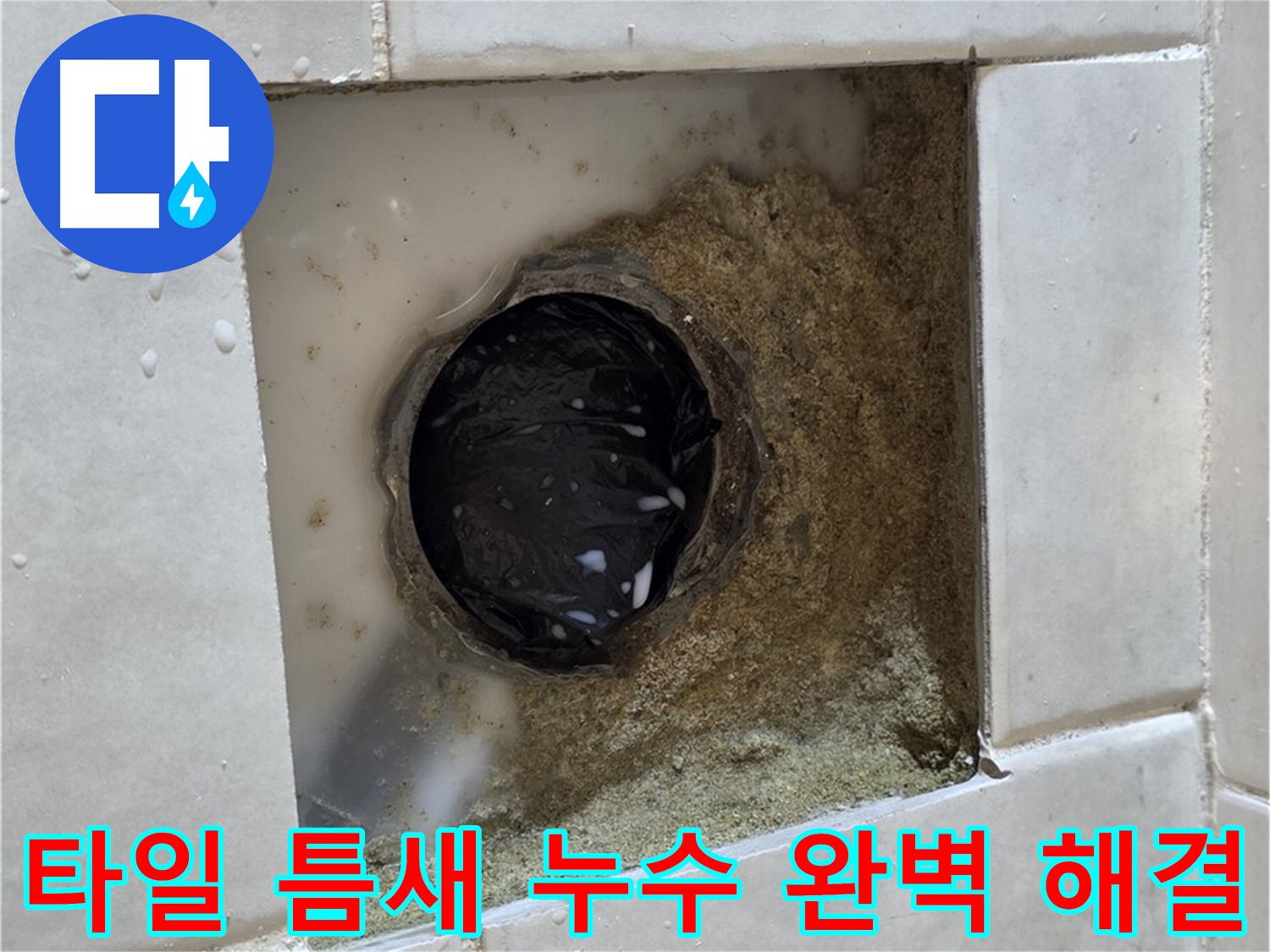 과천 문원동 욕실 하수구 주변 타일 틈새 누수 - 젖어있는 타일 틈새, 최고의 기술력으로 확실하게 해결