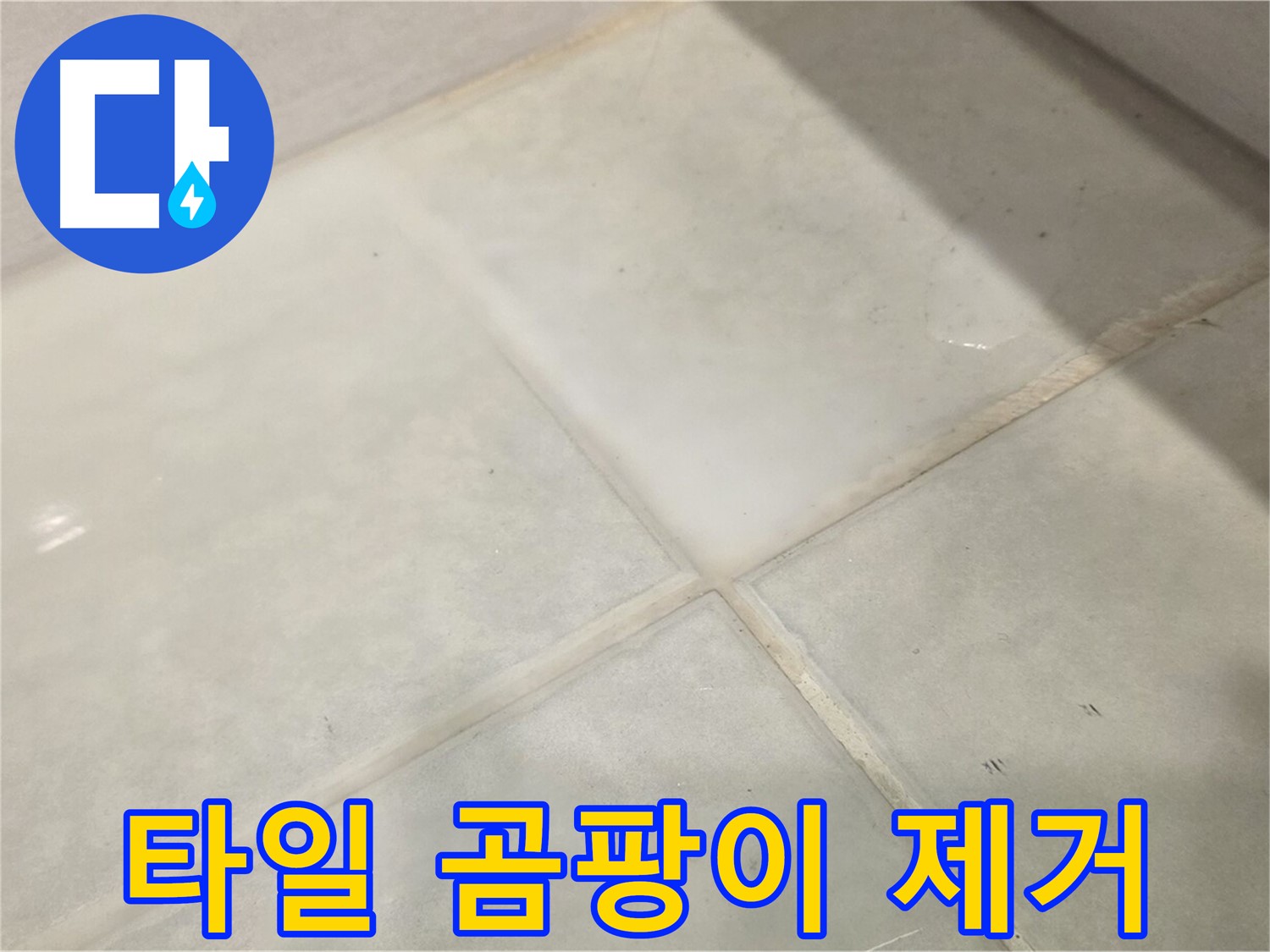 과천시 문원동 욕실 타일 곰팡이 - 건강 위협 곰팡이 완벽 제거