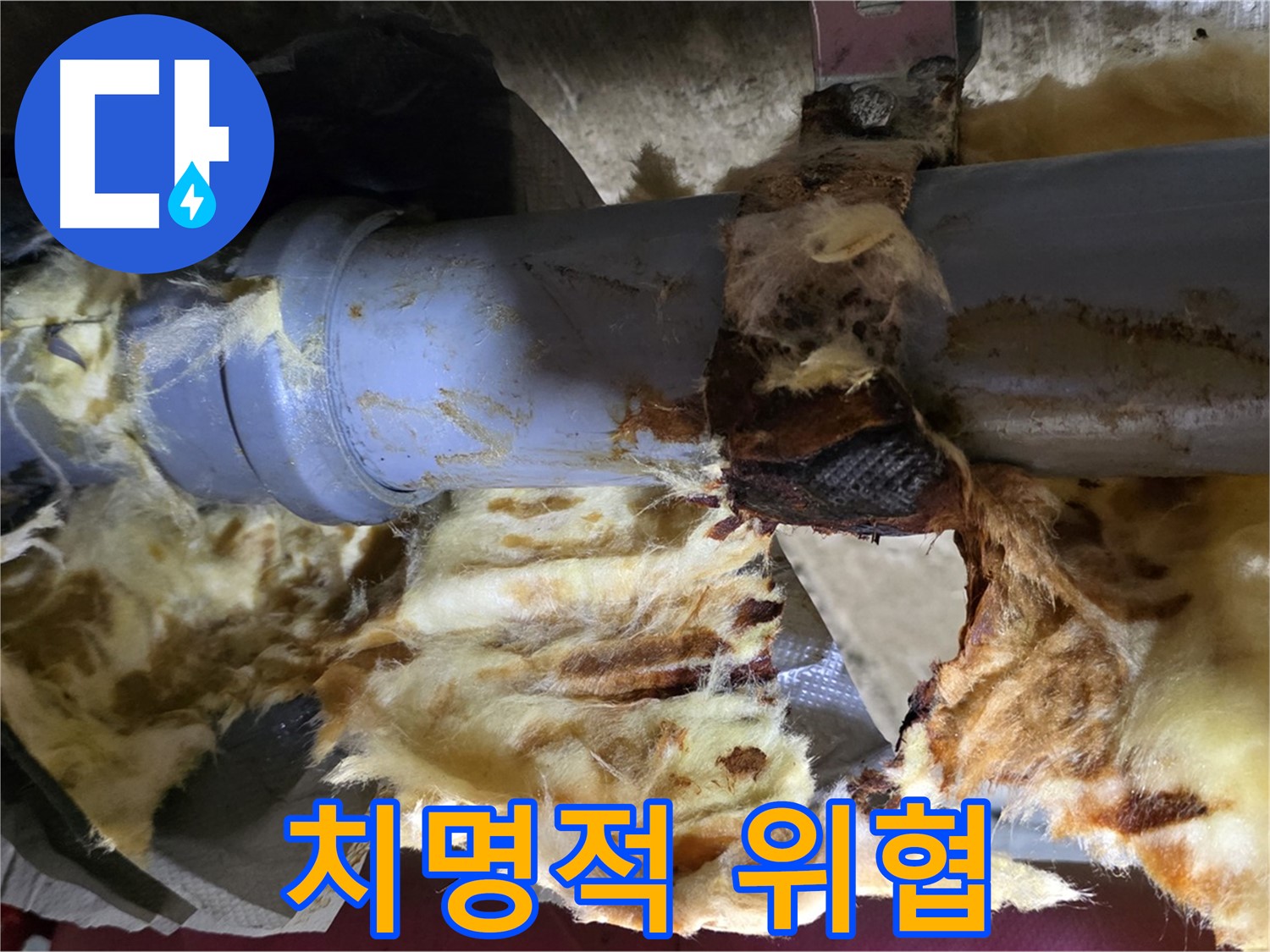 남양주 두산아파트 누수 - 배관 누수로 인해 곰팡이가 번식하며 건강에 치명적인 위협을 가하고 있습니다.