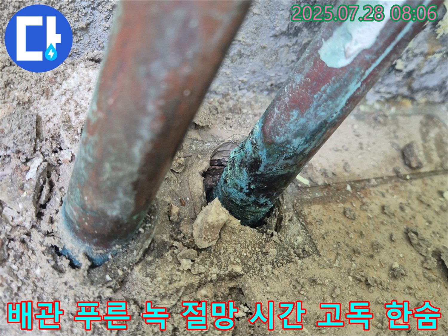 남양주 화도읍 두산아파트 누수 - 낡은 배관 표면의 푸른 녹은 깊은 절망과 멈춰진 시간 속의 고독한 침묵, 그리고 마지막 한숨을 나타내는 듯합니다.