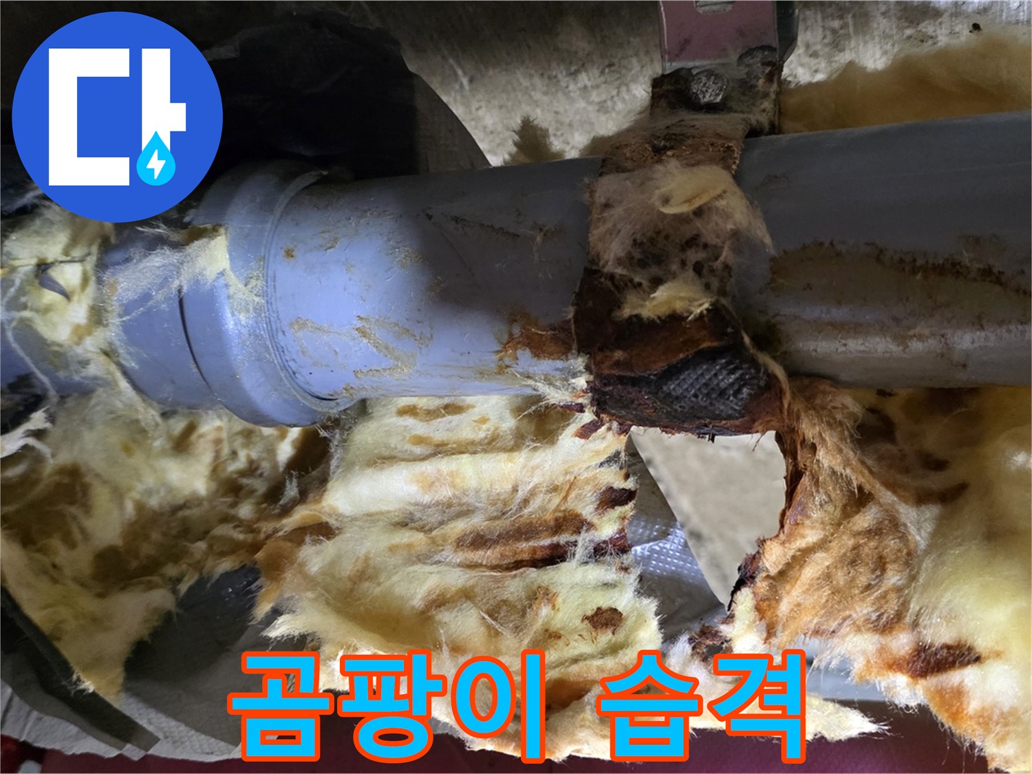 남양주 화도읍 두산아파트 누수 현장 - 배관 누수로 인해 젖은 단열재와 곰팡이가 심각하게 발생했습니다.