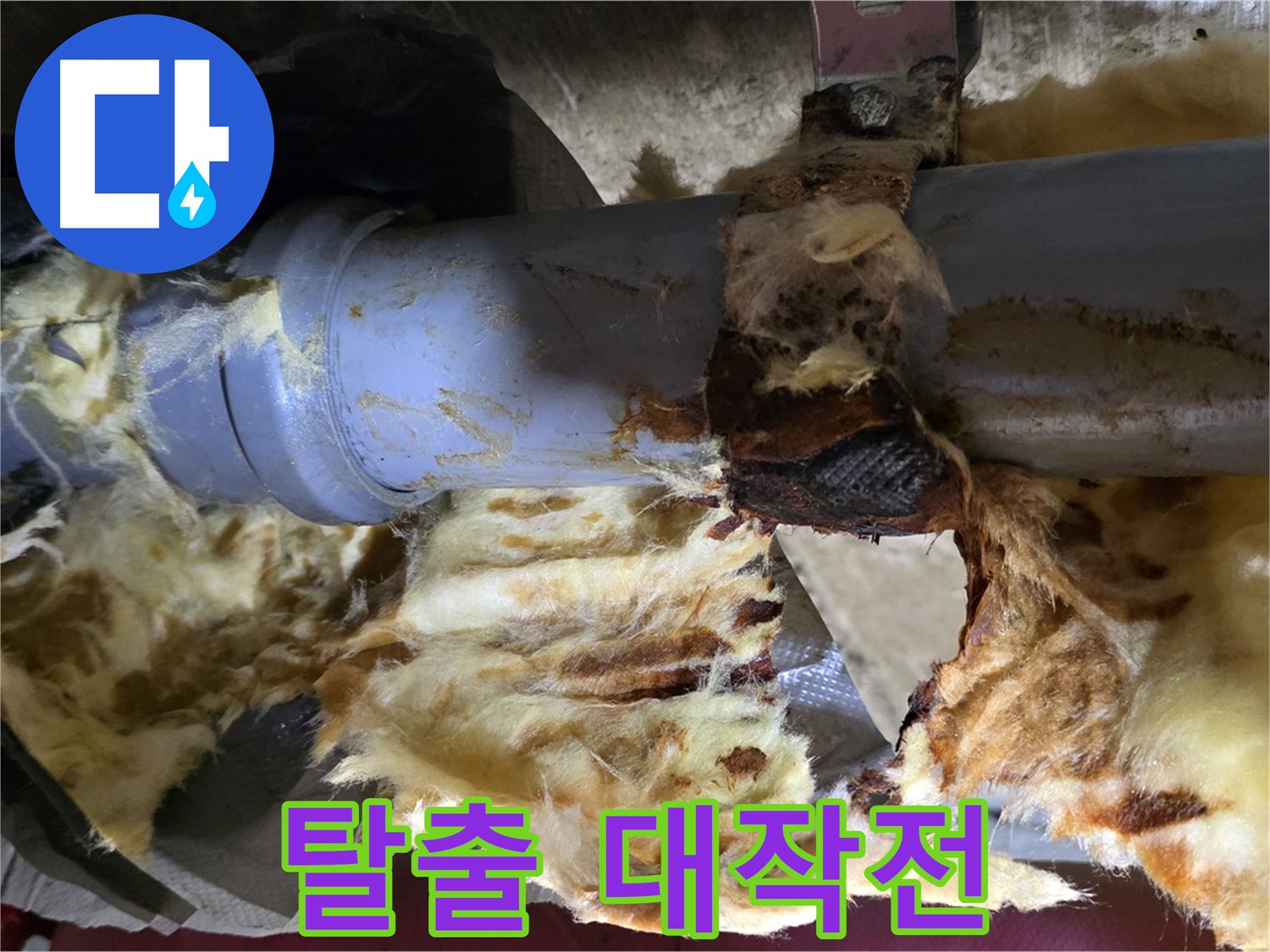 두산아파트 누수 - 낡은 배관, 곰팡이, 젖은 단열재 3가지 고통에서 탈출하는 대작전을 시작합니다.