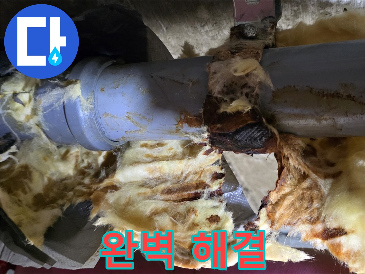 두산아파트 누수 - 낡은 배관, 곰팡이, 젖은 단열재 문제를 완벽하게 해결했습니다.
