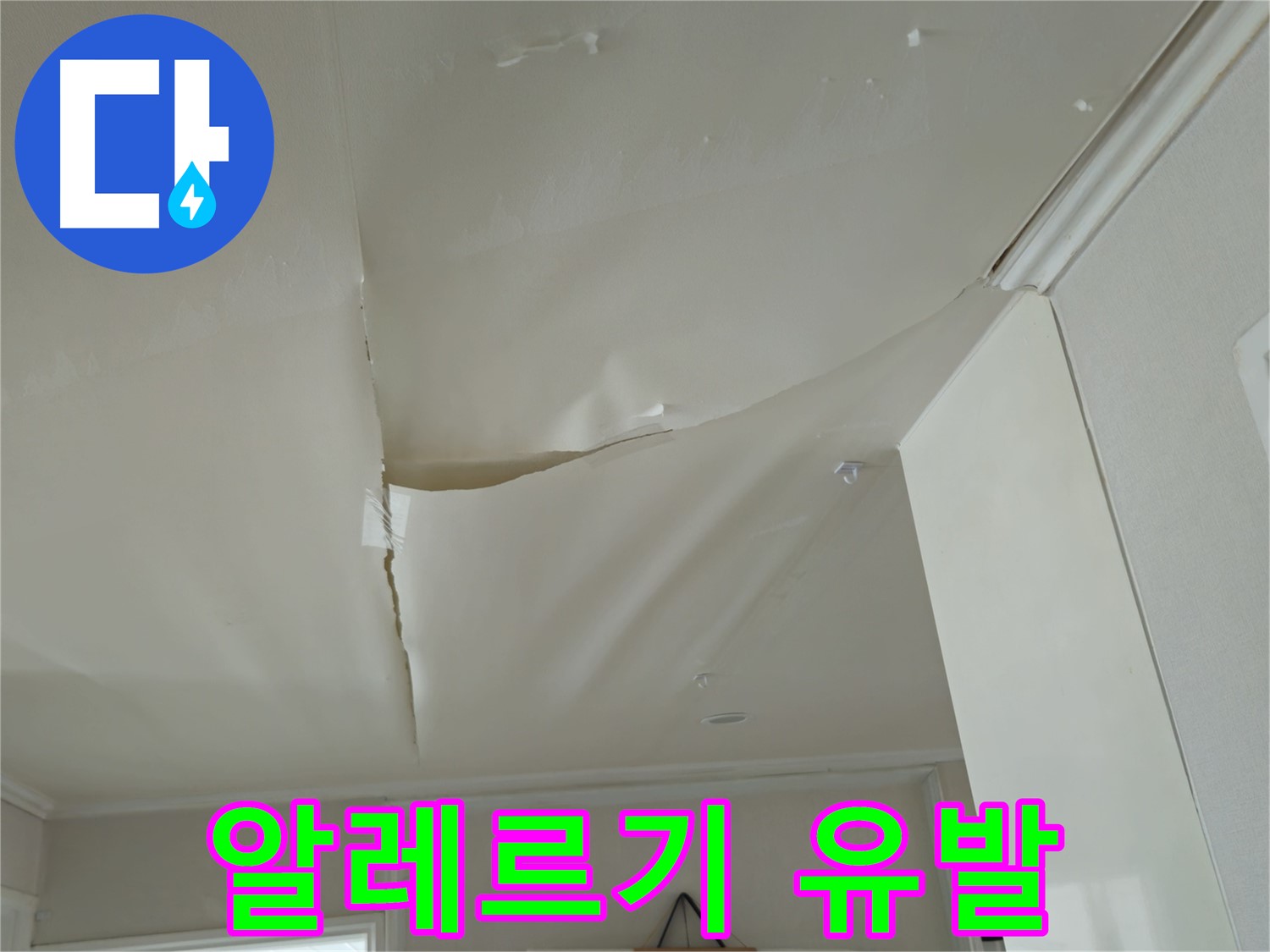 화도읍 두산아파트 천장 누수 - 곰팡이 냄새 진동, 알레르기 유발!