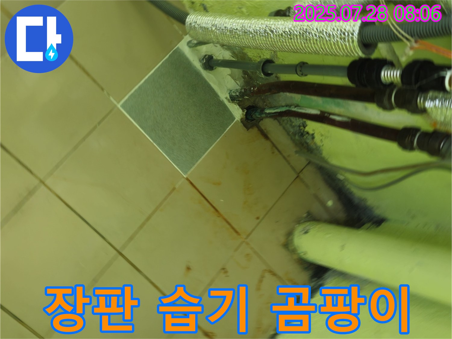 화도읍 창현리 누수 - 장판 밑 습기는 곰팡이 번식과 악취를 유발하며 - 건강을 위협할 수 있습니다 - 주의가 필요합니다.