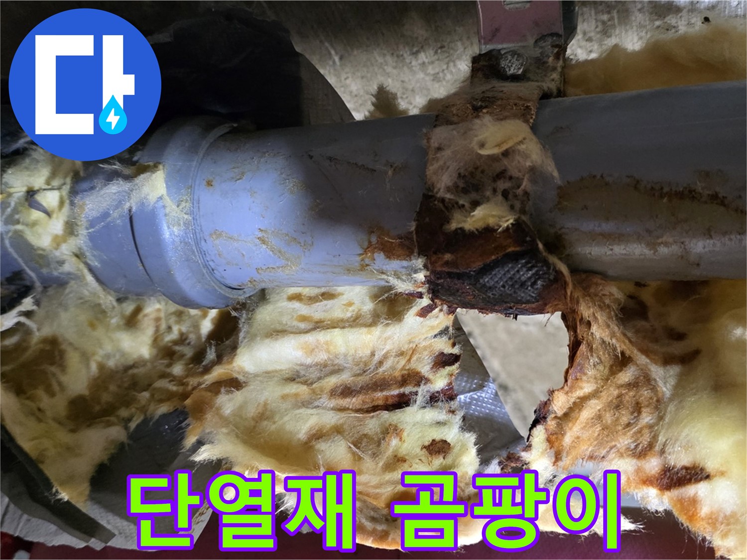 화도읍 창현리 누수 - 젖은 단열재에 곰팡이가 피기 시작한 모습입니다.