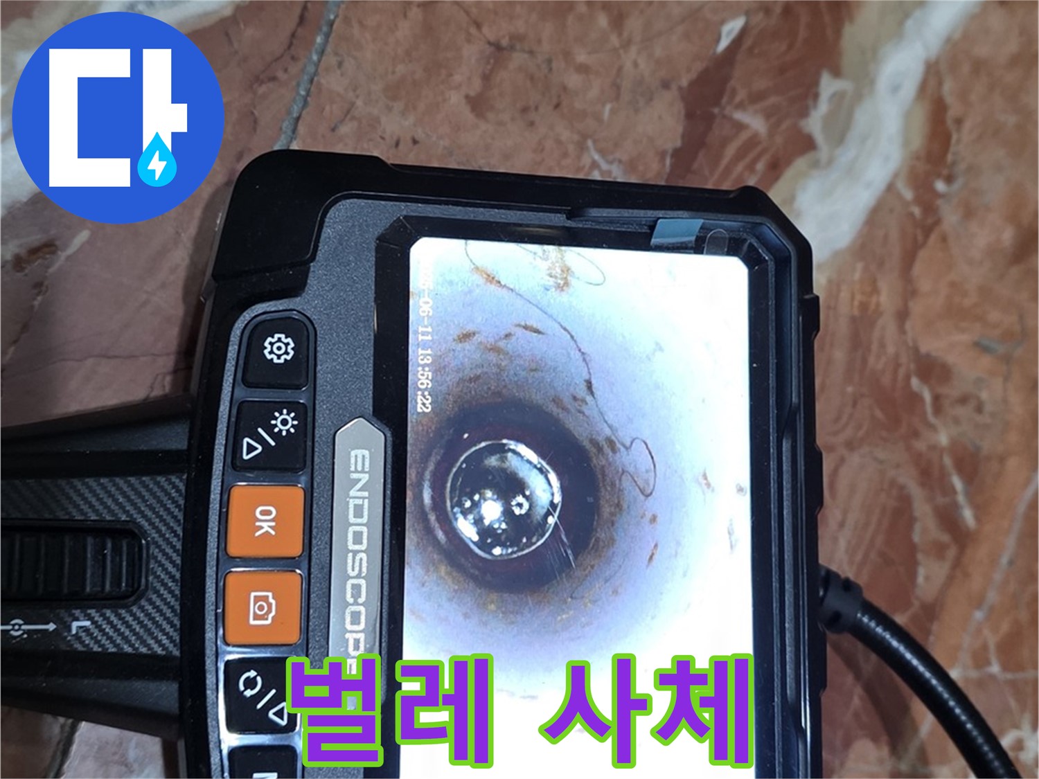 서울 서초본동 빌라 누수 - 배관 내시경으로 하수구 벌레 사체 확인