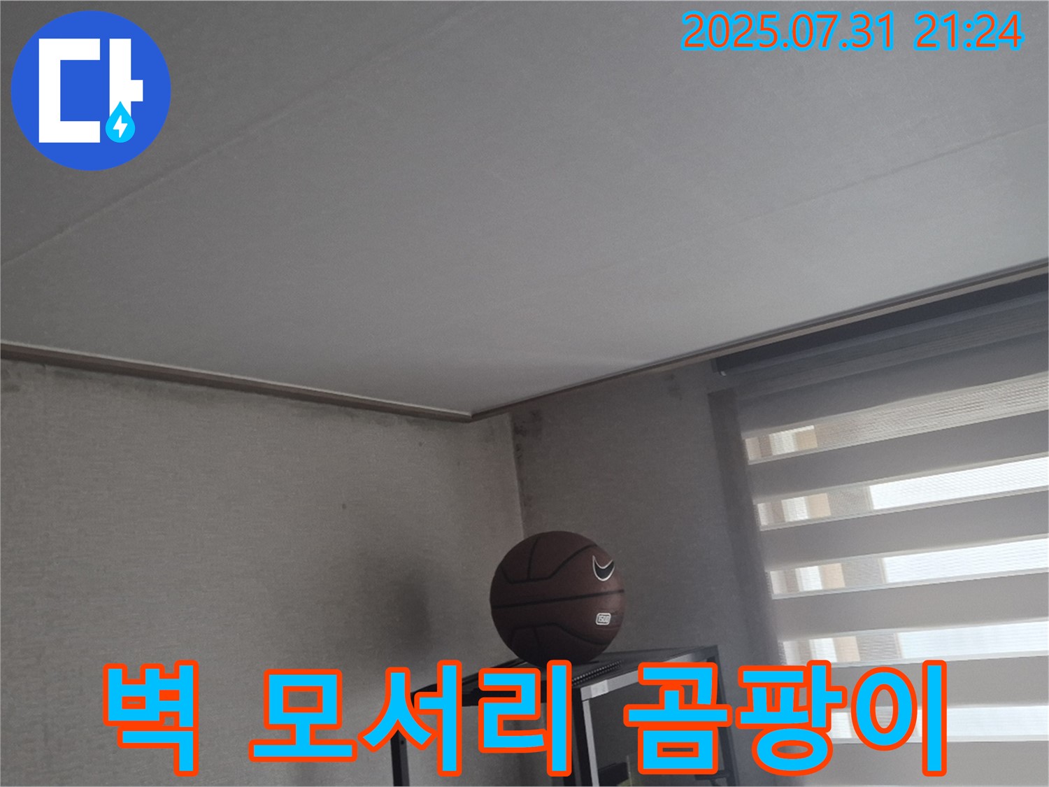 고양시 덕양구 동산동 벽 누수 - 벽 모서리 곰팡이와 누수 흔적 발견