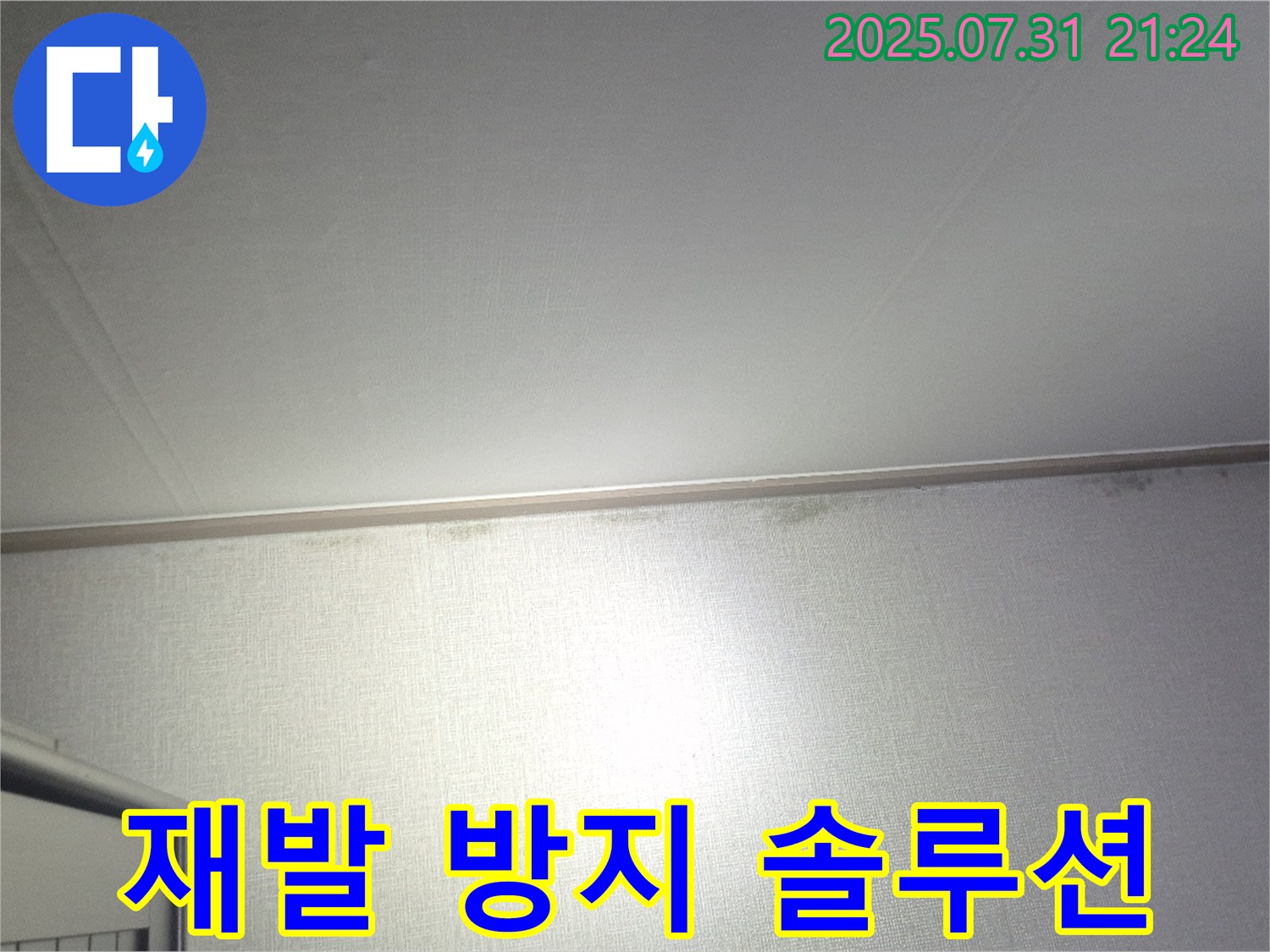 고양시 덕양구 벽 곰팡이 - 곰팡이 제거 후 곰팡이 재발 방지 토탈 솔루션 제공