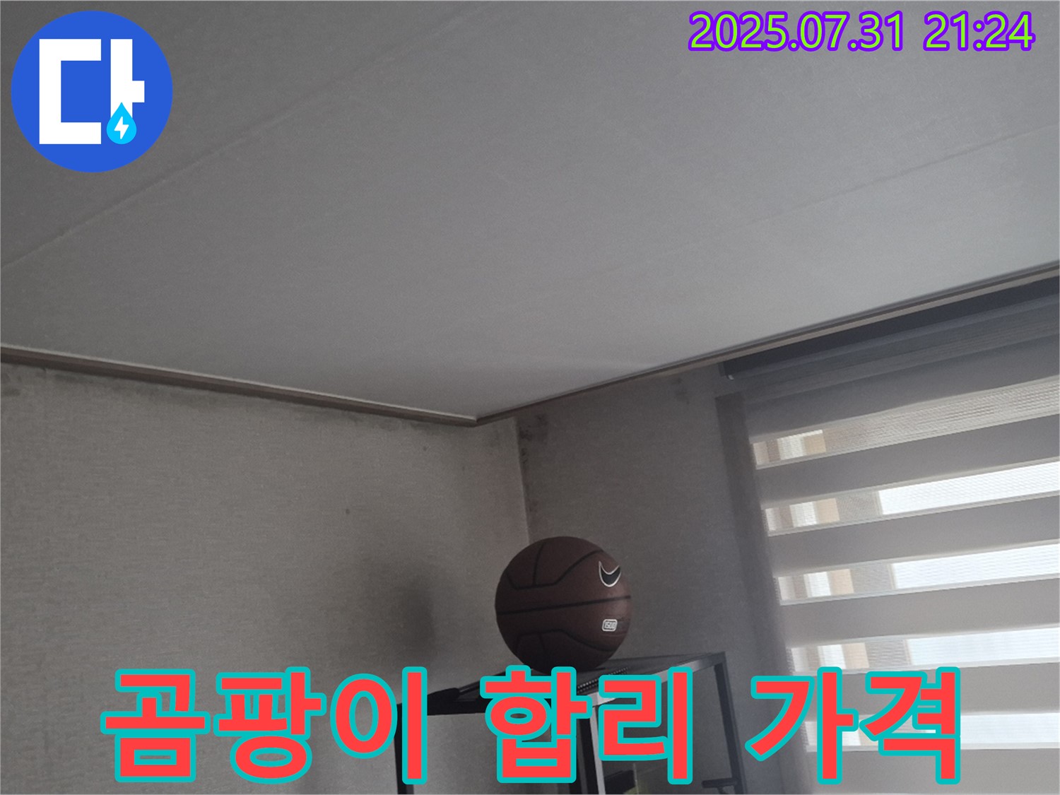고양시 덕양구 천장 누수 - 합리적인 가격으로 곰팡이 제거!