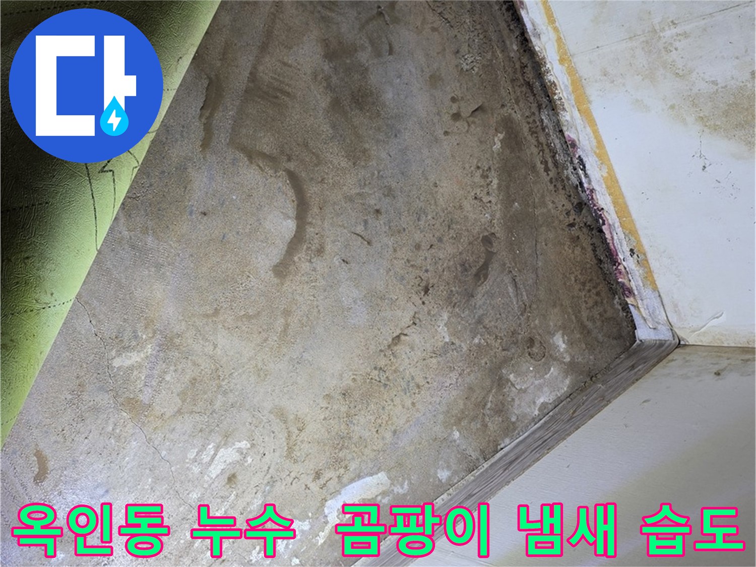 장판 밑 곰팡이 냄새 - 옥인동 냄새 제거와 습도 관리