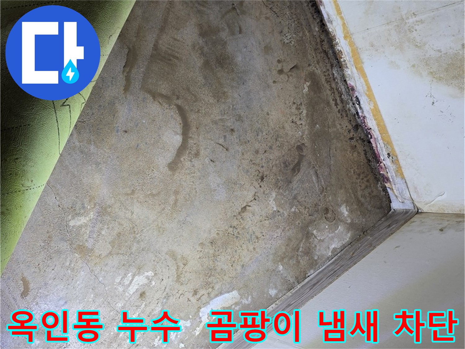장판 밑 곰팡이 냄새 - 옥인동 완벽 차단 시공