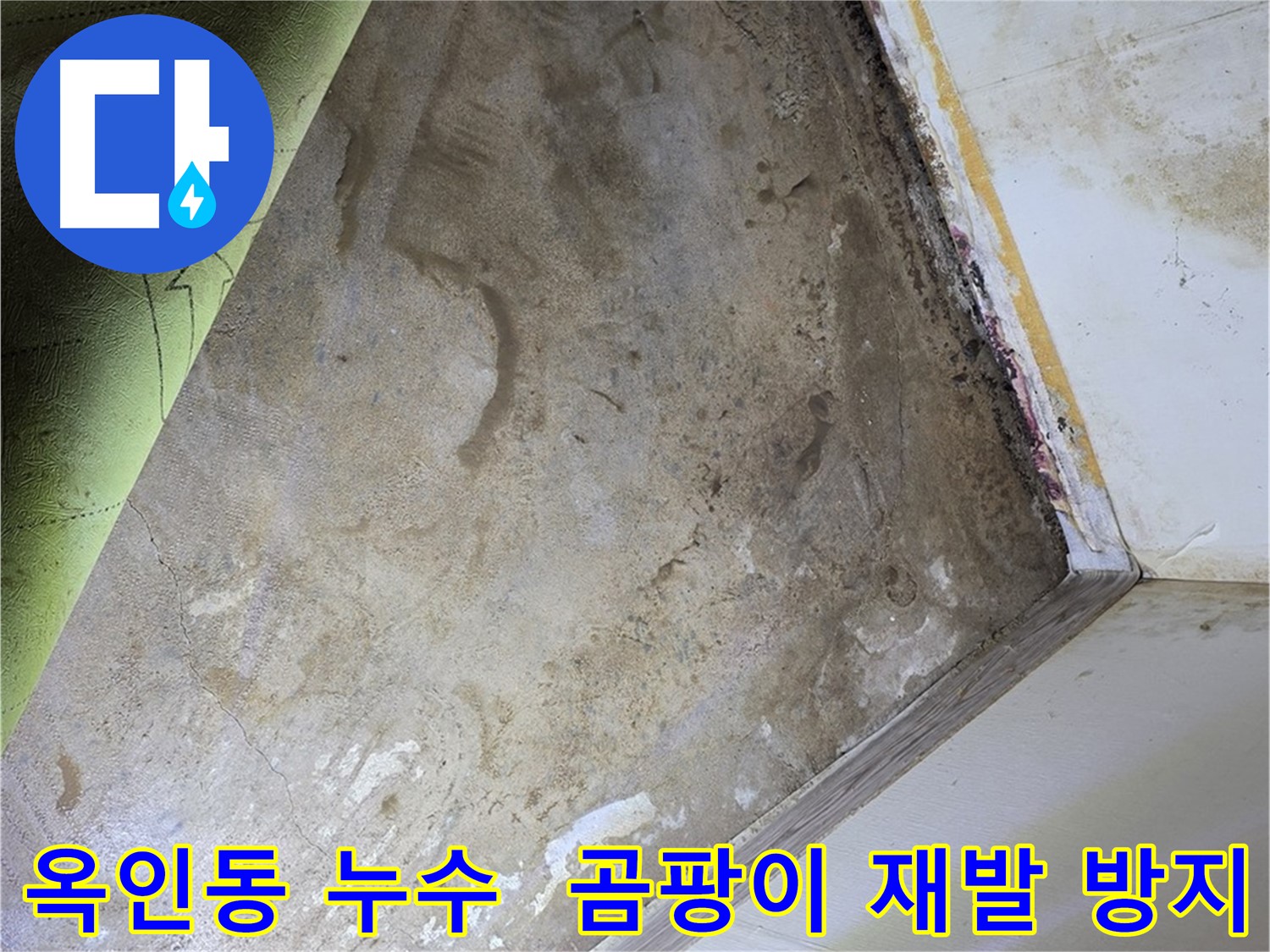 장판 밑 곰팡이 - 옥인동 곰팡이 재발 방지 꼼꼼 시공