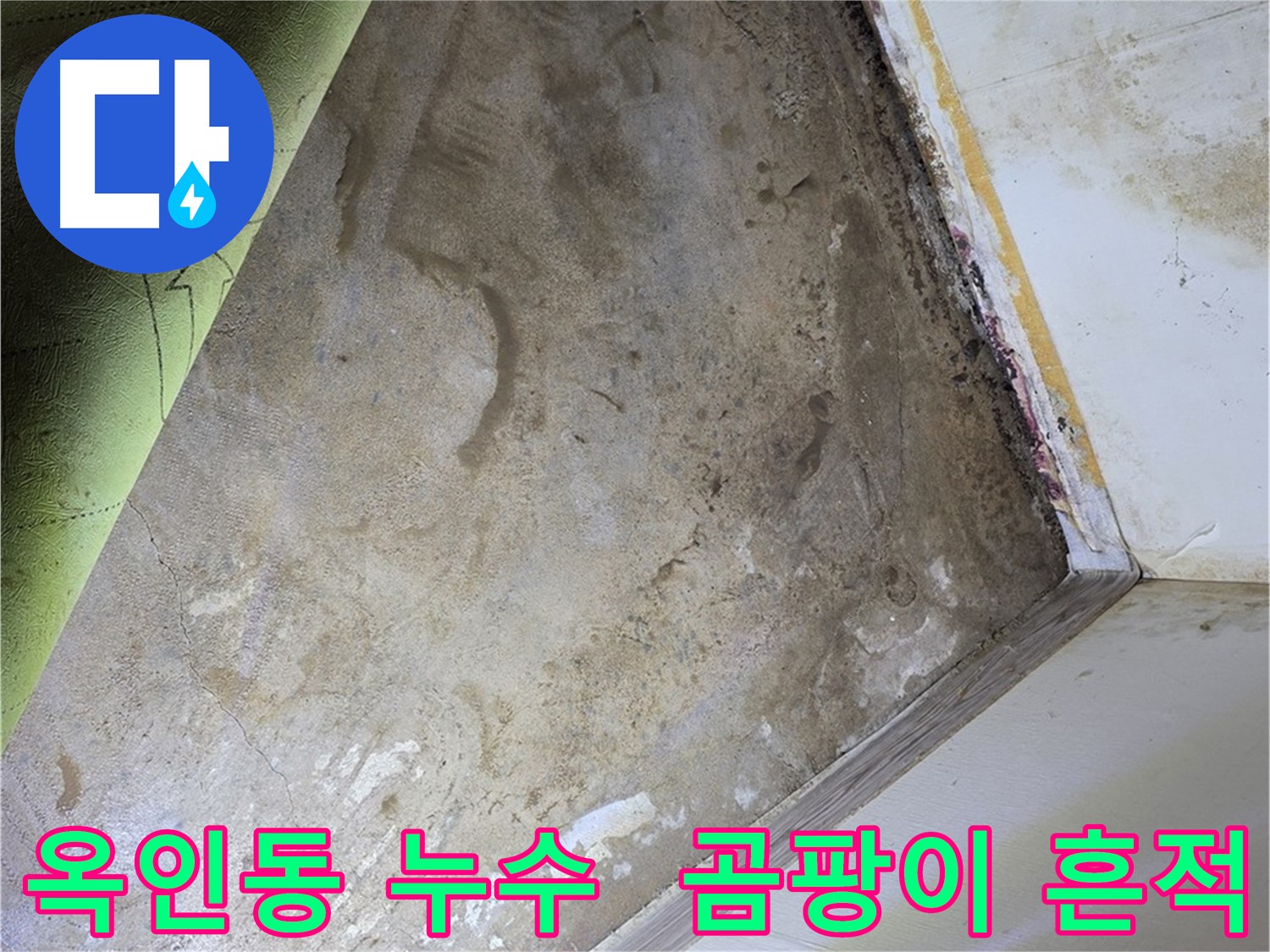 장판 밑 곰팡이 - 옥인동 곰팡이 제거 전 누수 흔적