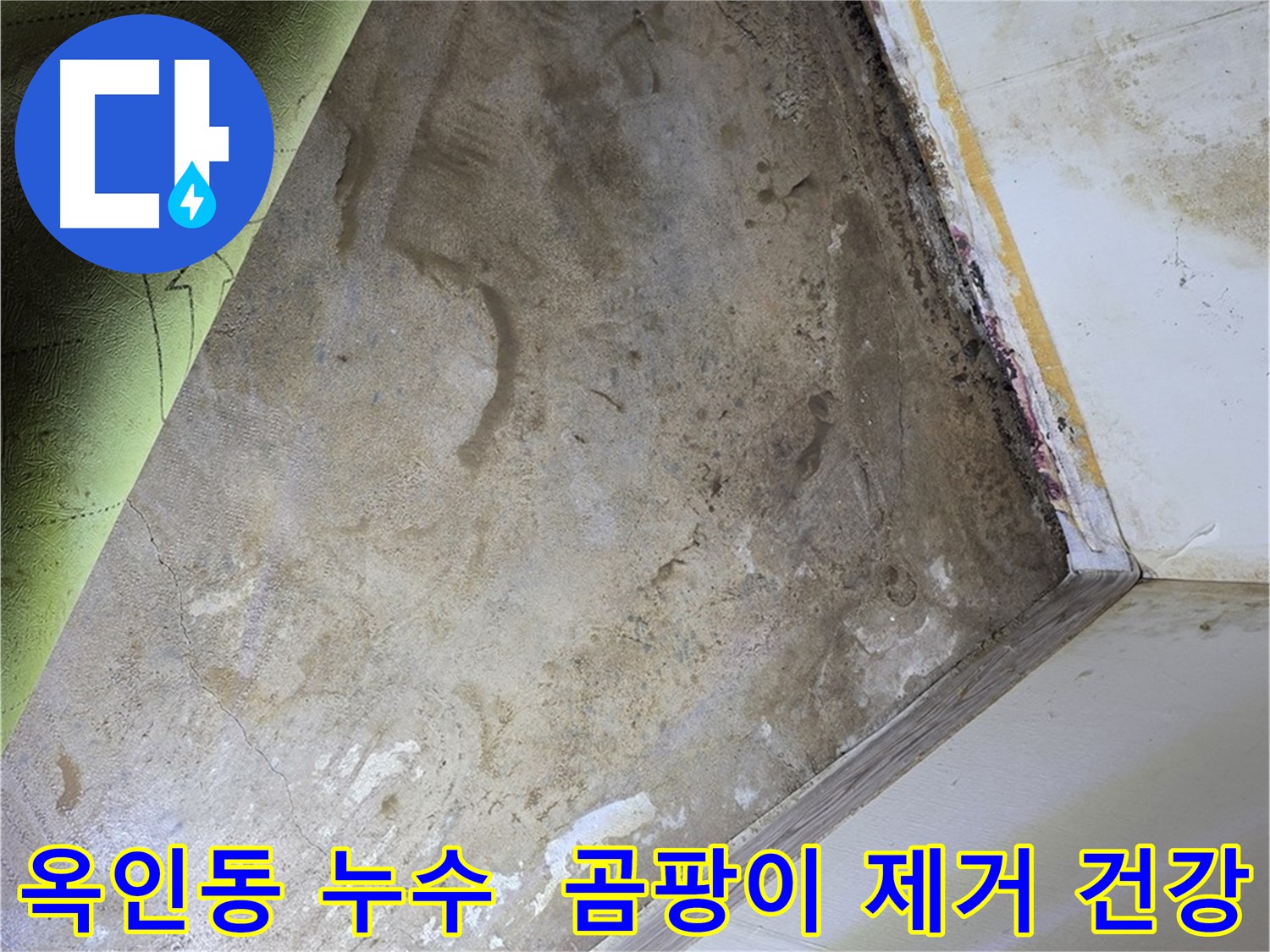 장판 밑 곰팡이 - 옥인동 곰팡이 제거로 건강 되찾기