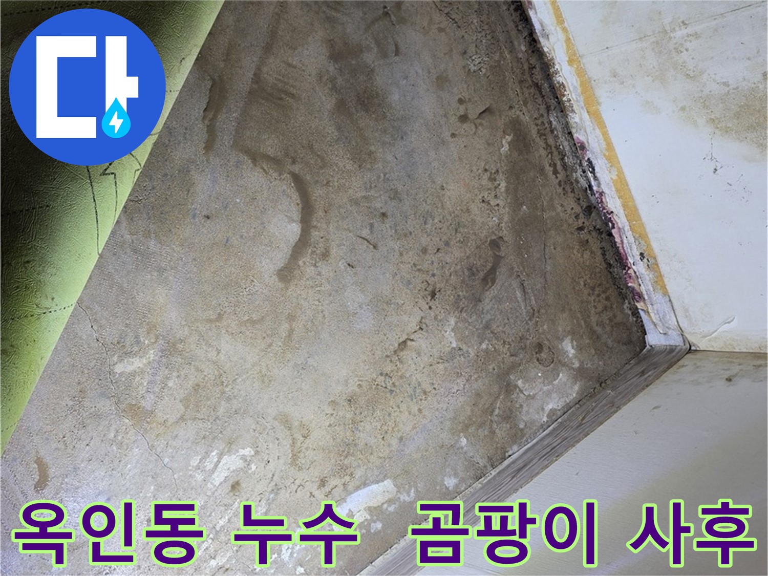 장판 밑 곰팡이 - 옥인동 철저한 사후 관리