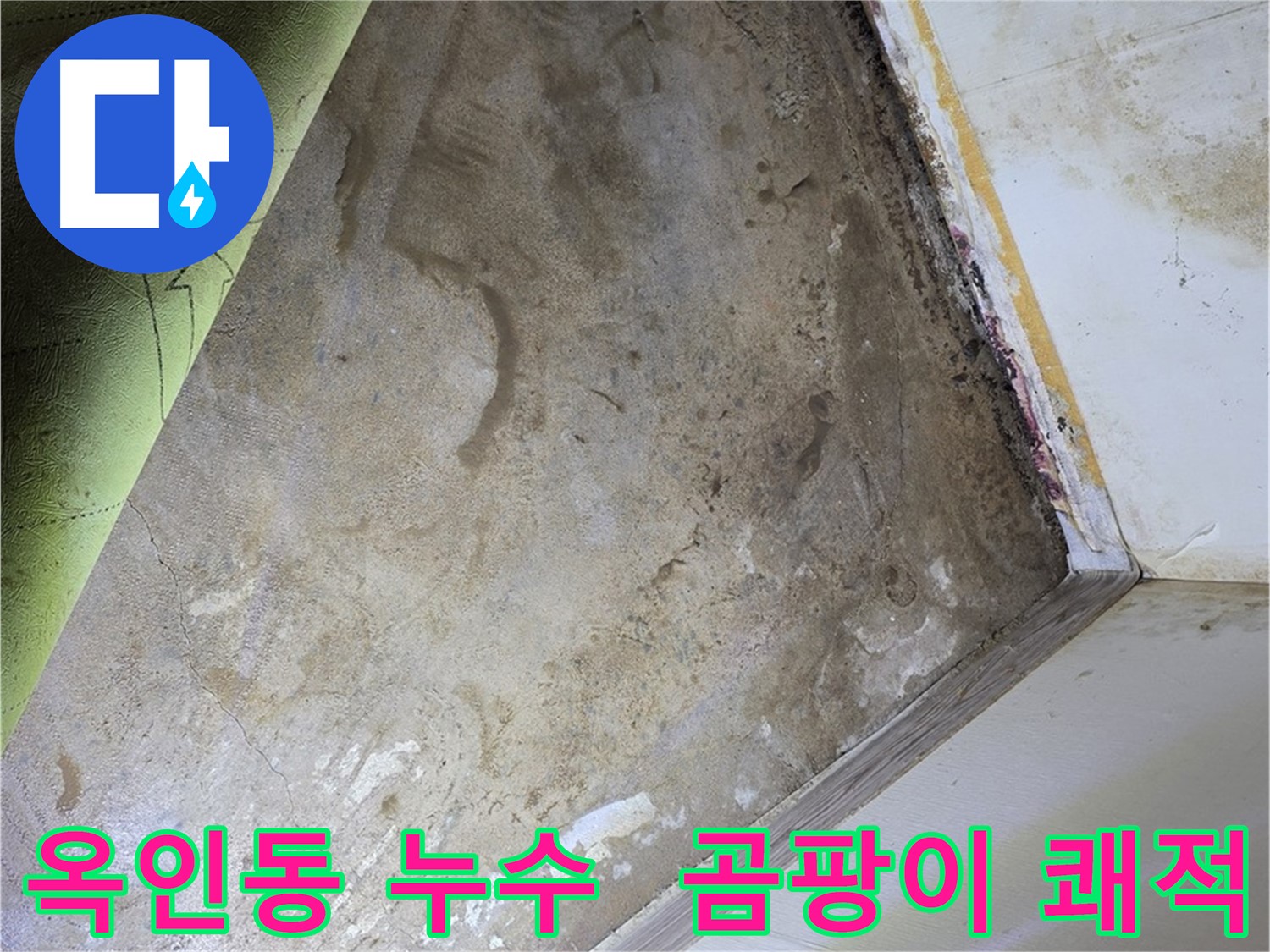 장판 밑 곰팡이 - 옥인동 쾌적한 실내 환경 조성