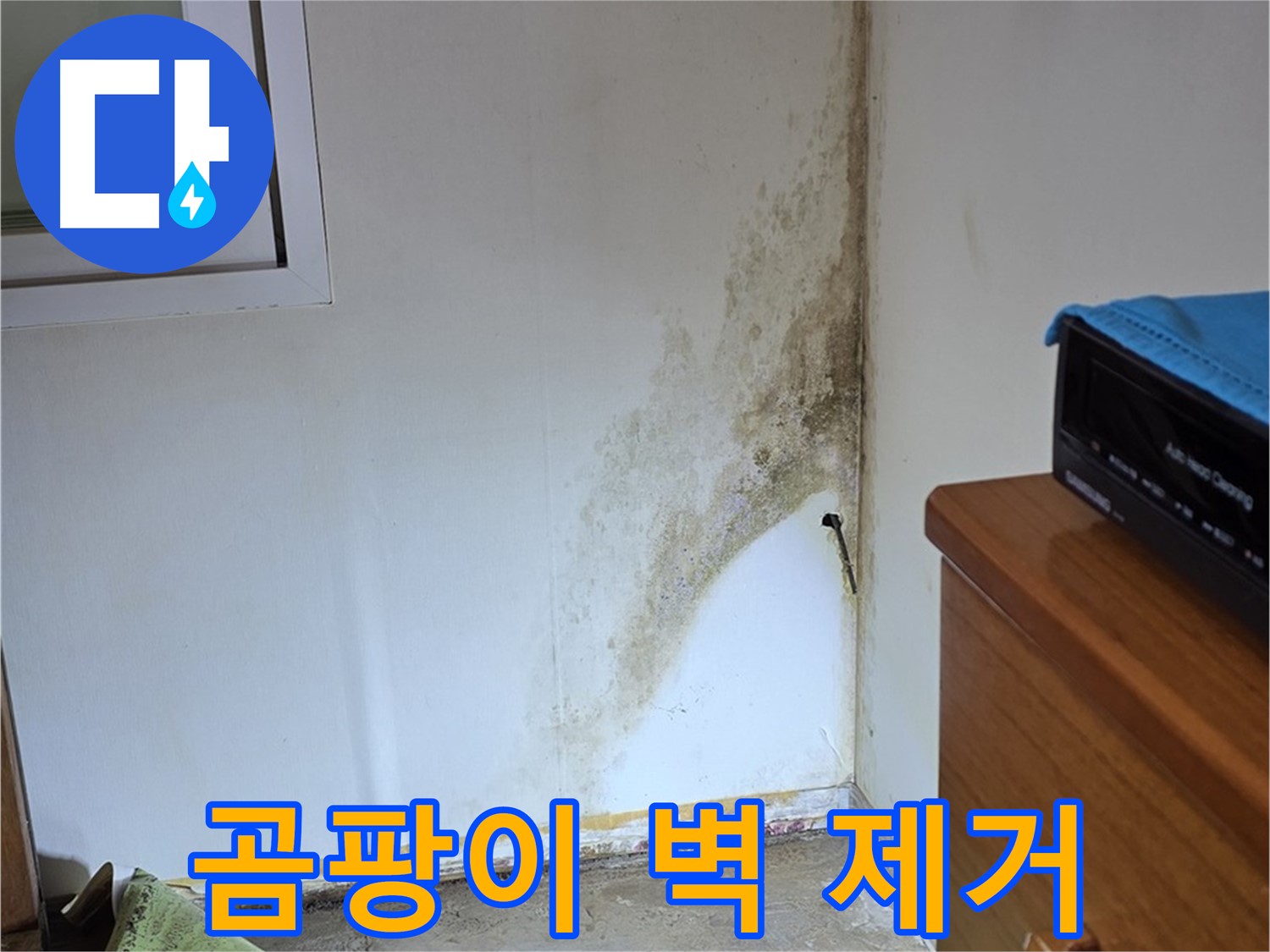 종로구 사직동 곰팡이 벽 제거 - 완벽 제거 후기 공유