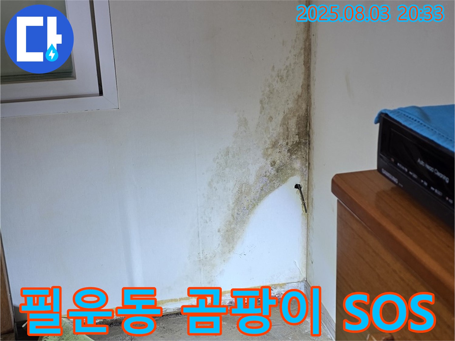 종로구 필운동 누수 - 곰팡이 문제, 전문적인 누수 탐지로 긴급 해결
