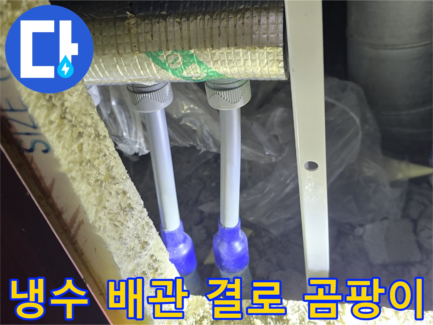 삼숭동 누수 방지 - 냉수 배관 주변 결로 발생 및 곰팡이 성장 가능성 사전 체크