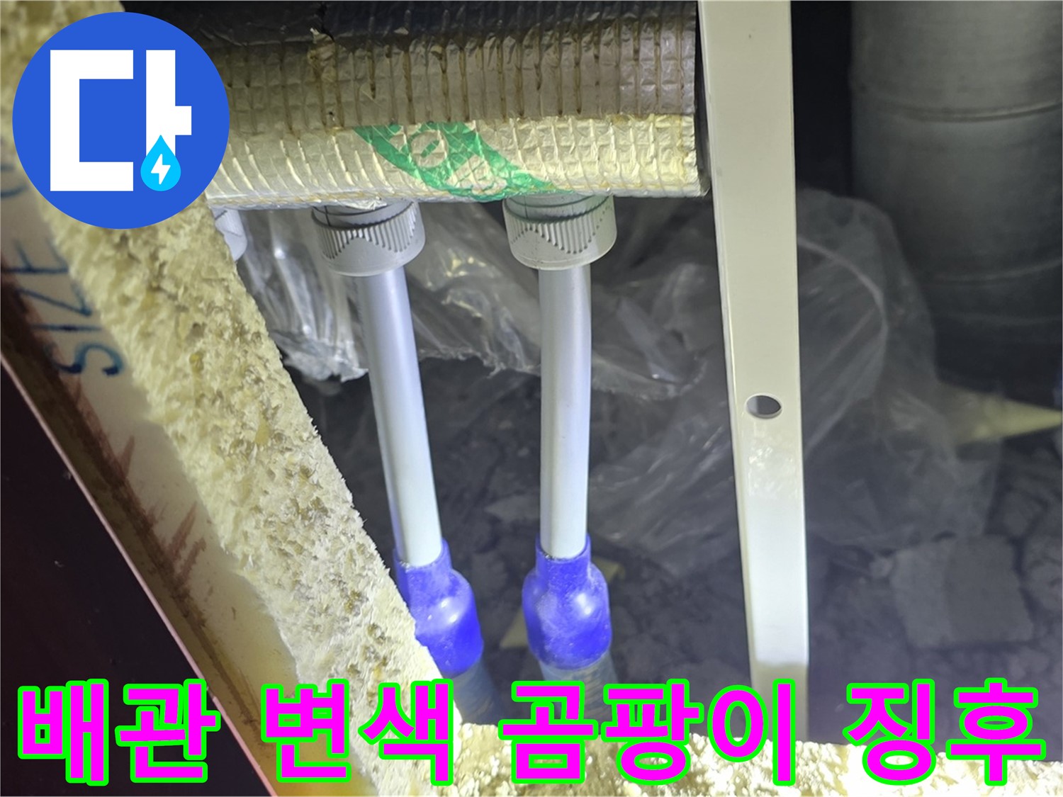 삼숭동 누수 진단 - 배관 주변 백시멘트 변색 및 곰팡이 발생 징후로 인한 누수 가능성 진단