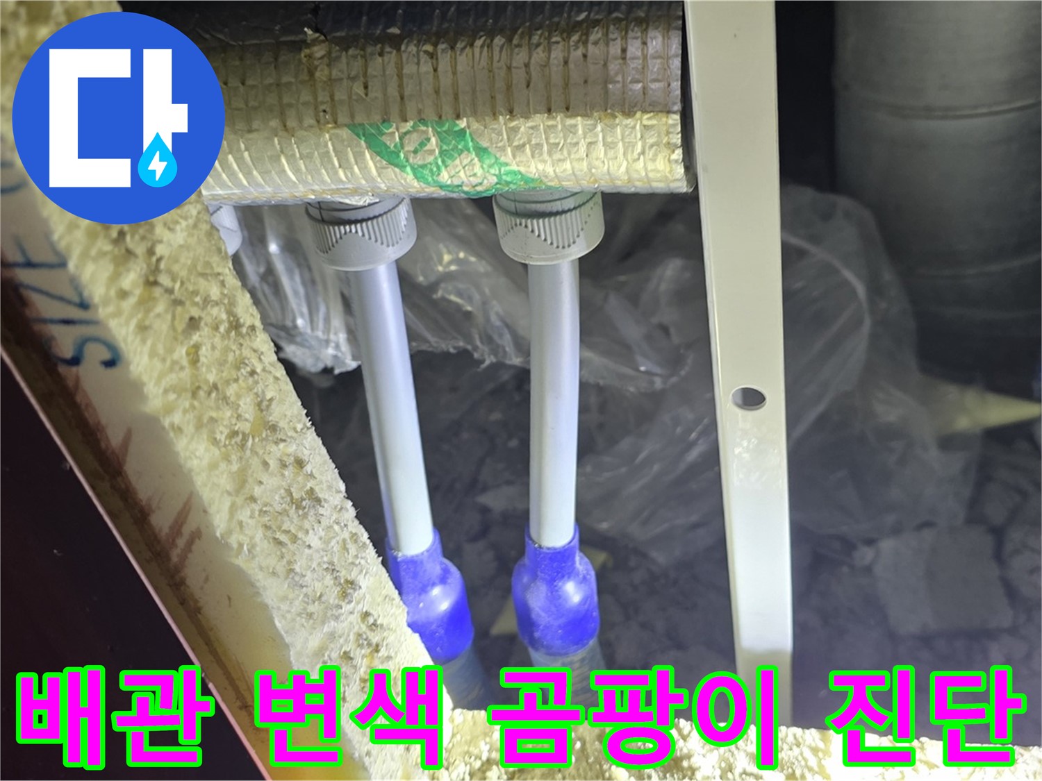 삼숭동 누수 진단 - 배관 주변 백시멘트 변색 및 곰팡이 발생으로 인한 누수 가능성 진단