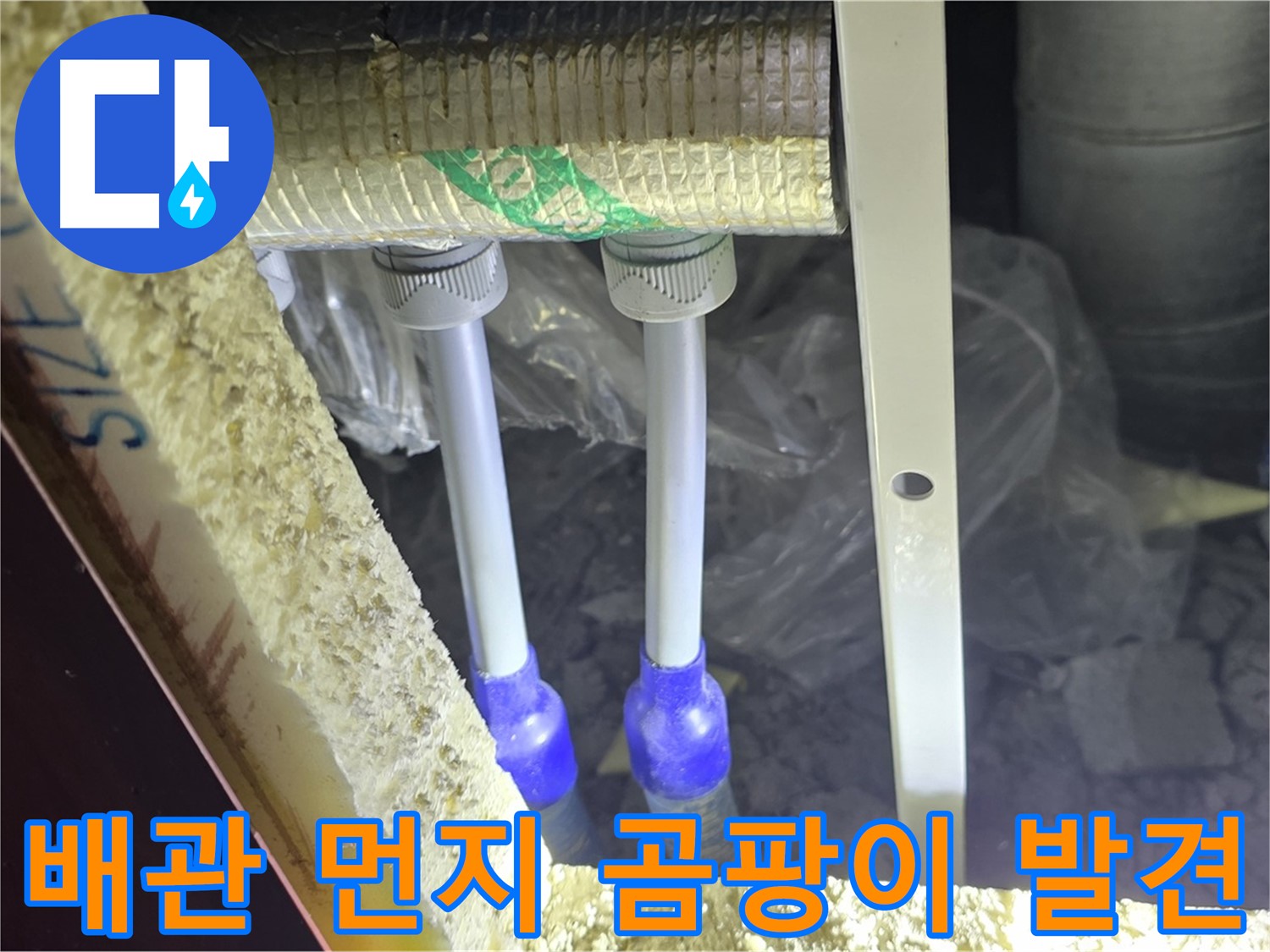 삼숭동 양주자이 누수 - 배관 연결 부위 주변 먼지 뭉침 및 곰팡이 흔적 초기 발견