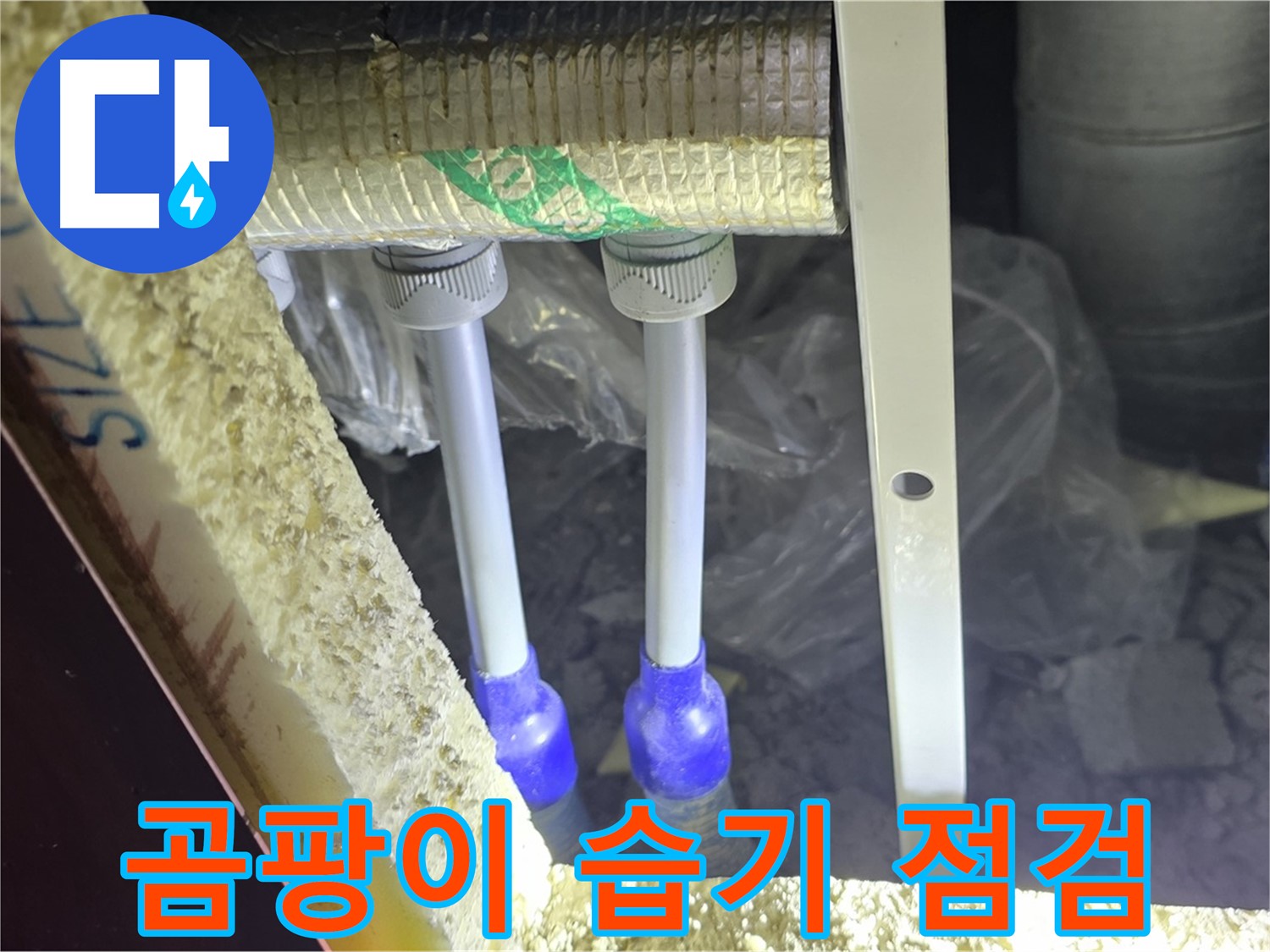 삼숭동 양주자이 아파트 누수 - 배관 연결 부속 주변 곰팡이 발생 및 습기 집중 점검