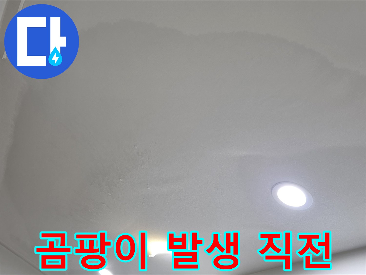 삼숭동 자이 107동 누수 - 송골송골 물방울 - 곰팡이