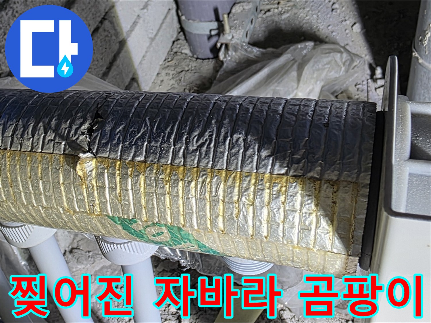삼숭동 자이아파트 - 찢어진 자바라 - 결로 - 곰팡이 - 악취