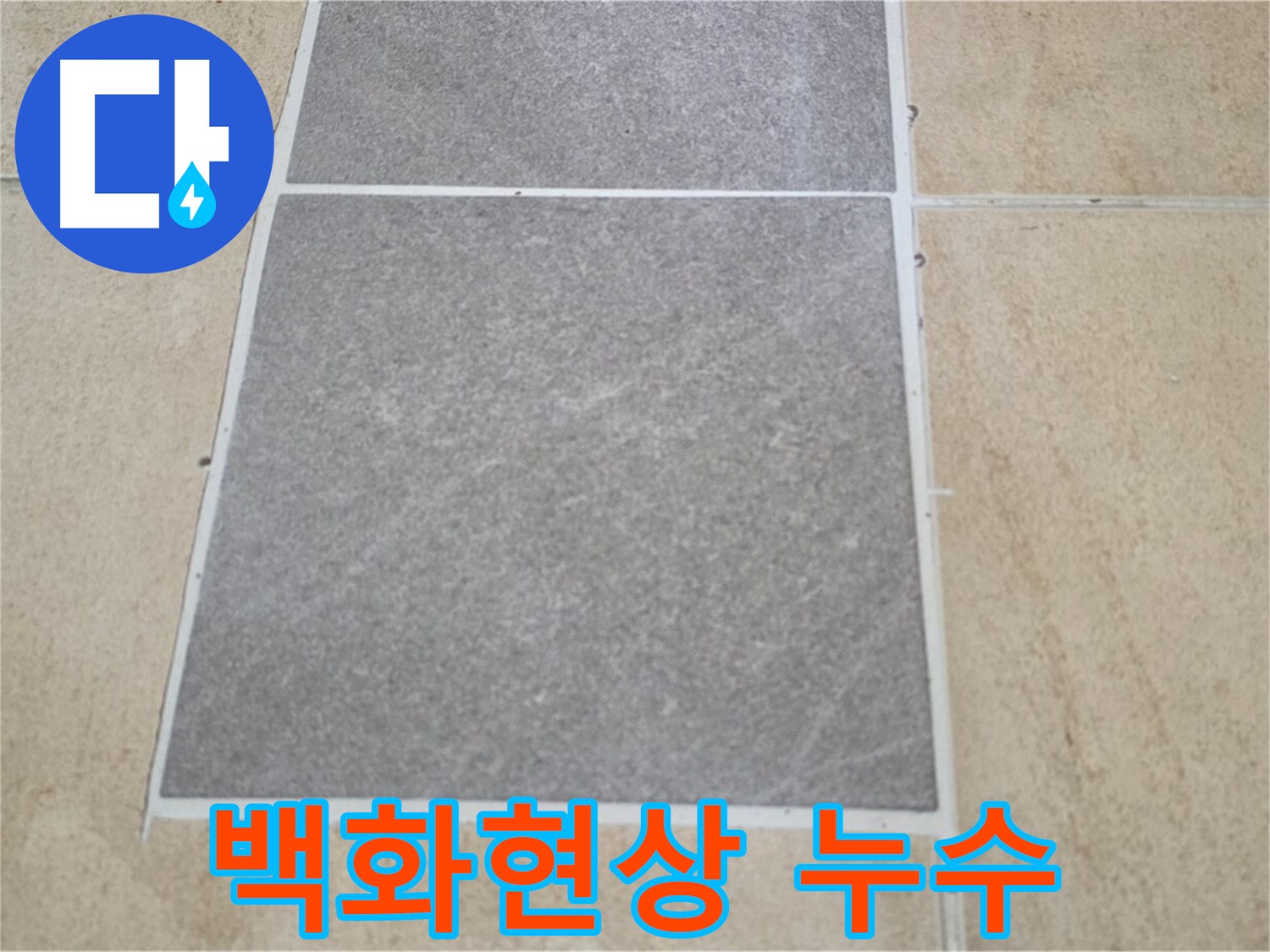 양주 삼숭동 아파트 - 교체된 타일 주변에 백화현상이 발생하여 누수 연관성을 확인하고 있습니다.