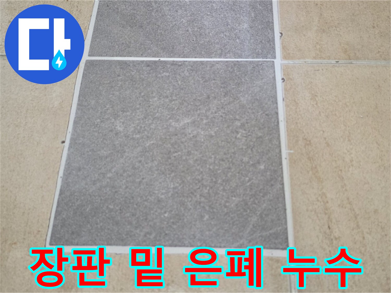 양주 삼숭동 아파트 - 장판 밑에 숨겨진 타일 누수 가능성을 점검하고 있습니다.
