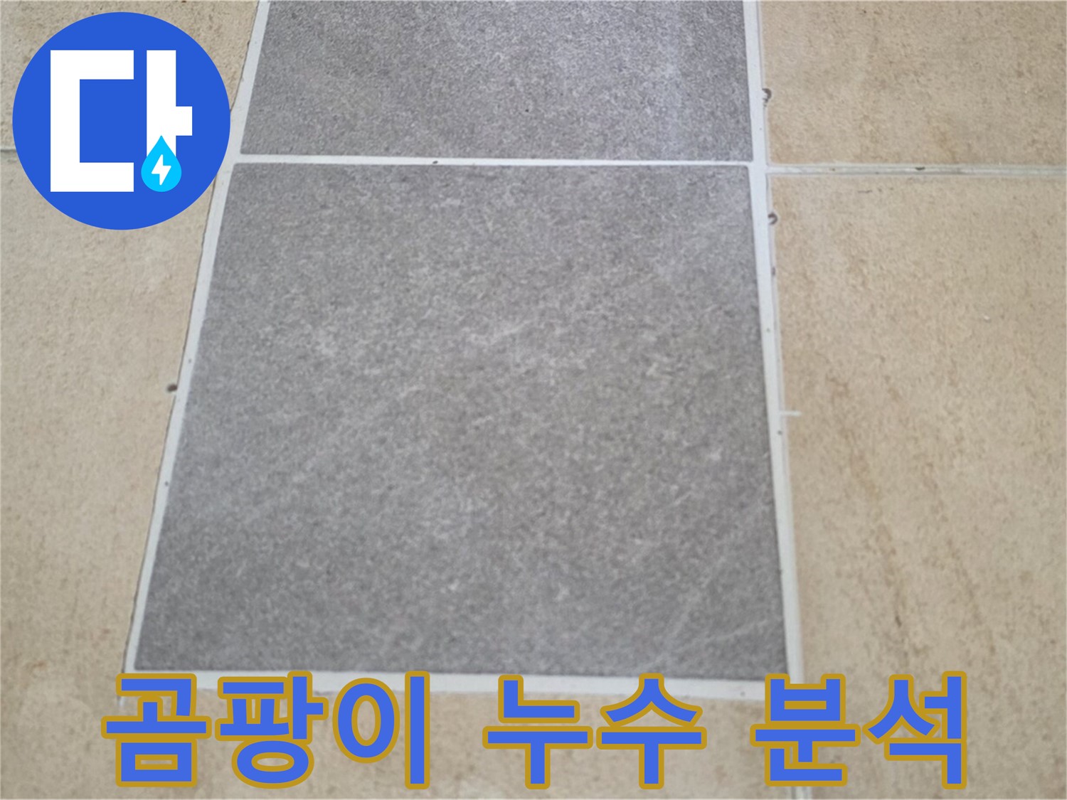 양주 삼숭동 아파트 - 타일 틈새 곰팡이 발생과 누수의 관계를 분석하고 있습니다.