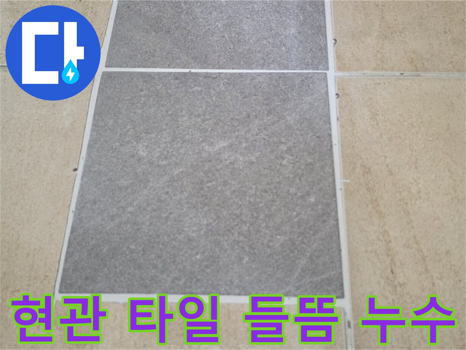 양주 삼숭동 아파트 - 현관 타일 들뜸과 신발장 주변 누수 여부를 확인하고 있습니다.