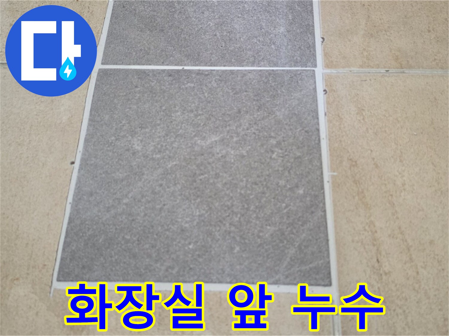양주 삼숭동 아파트 - 화장실 앞 타일과 마루 연결 부위의 누수 원인을 분석하고 있습니다.