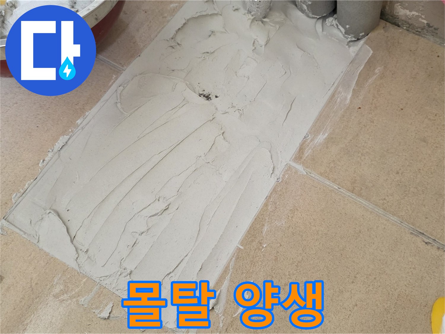 양주 삼숭동 자이 107동 덧방 시공 - 몰탈 양생 시간 철저히 준수!