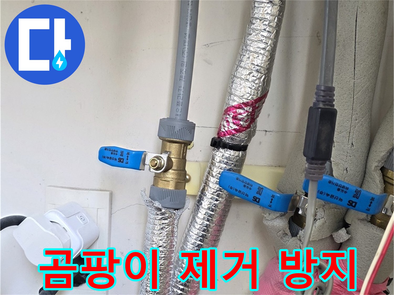양주 삼숭동 자이아파트 - 곰팡이 제거 및 방지 - 쾌적한 환경을 위한 필수 작업