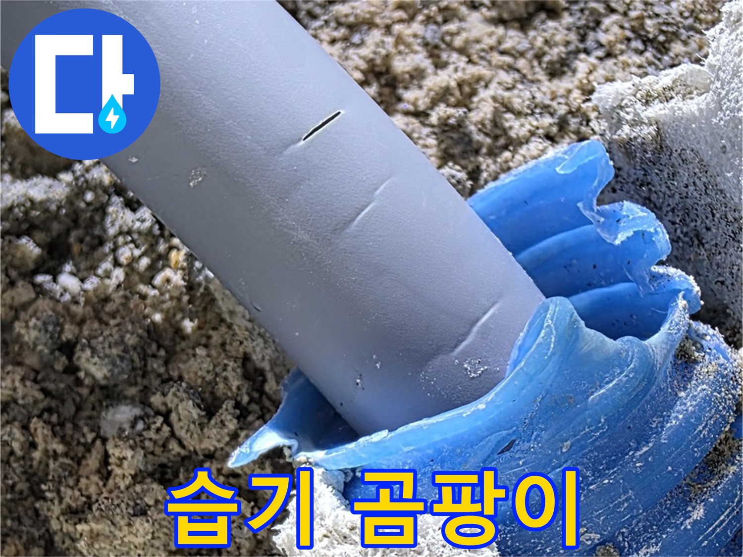 양주 자이 누수 - 배관 주변 벽면 습기 및 코르크 곰팡이 상태를 확인하고 있습니다 - 누수 의심.