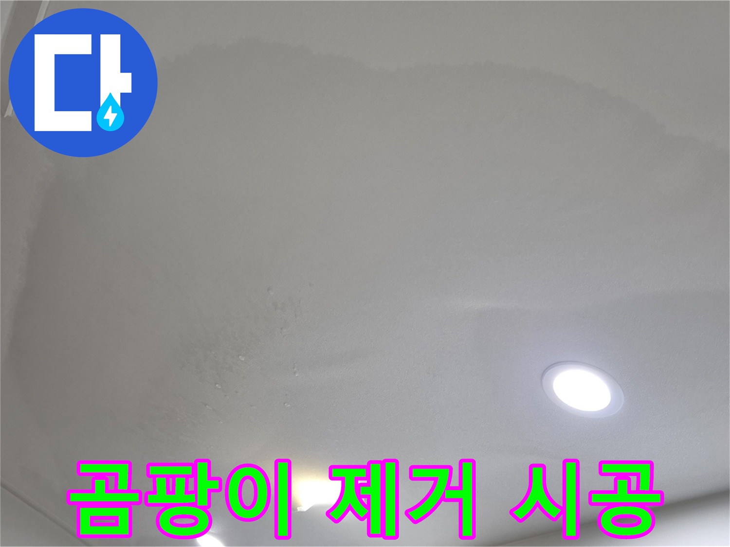 양주 누수 해결 및 곰팡이 제거 - 건강한 환경 조성