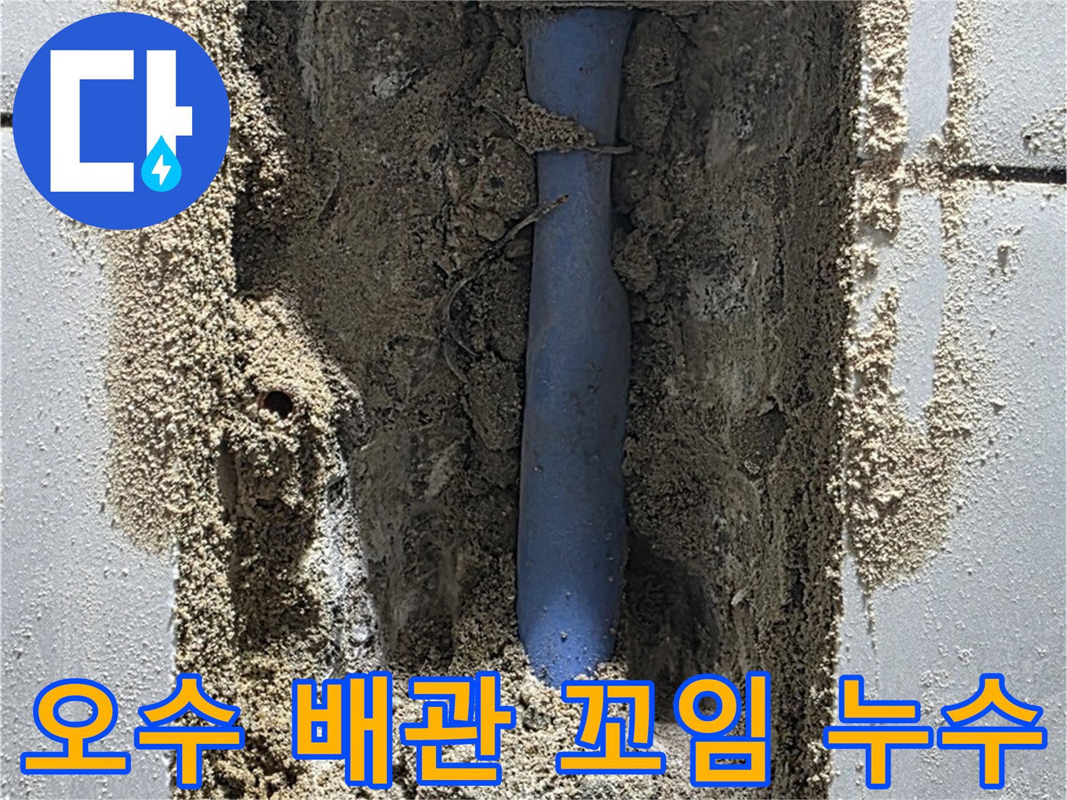 분당 쇳골 누수 - 꼬여버린 오수 배관 누수
