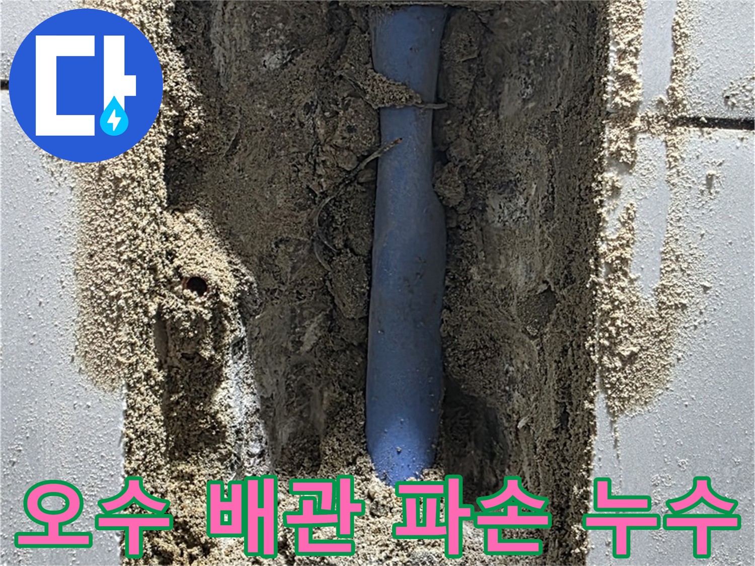 분당 쇳골 누수 - 오수 배관 파손 누수