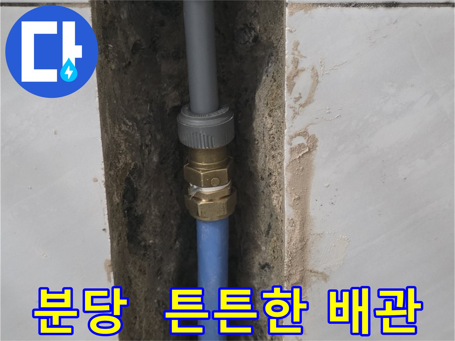 분당 쇳골 - 튼튼한 배관 연결, 이제 안심하고 사용하세요