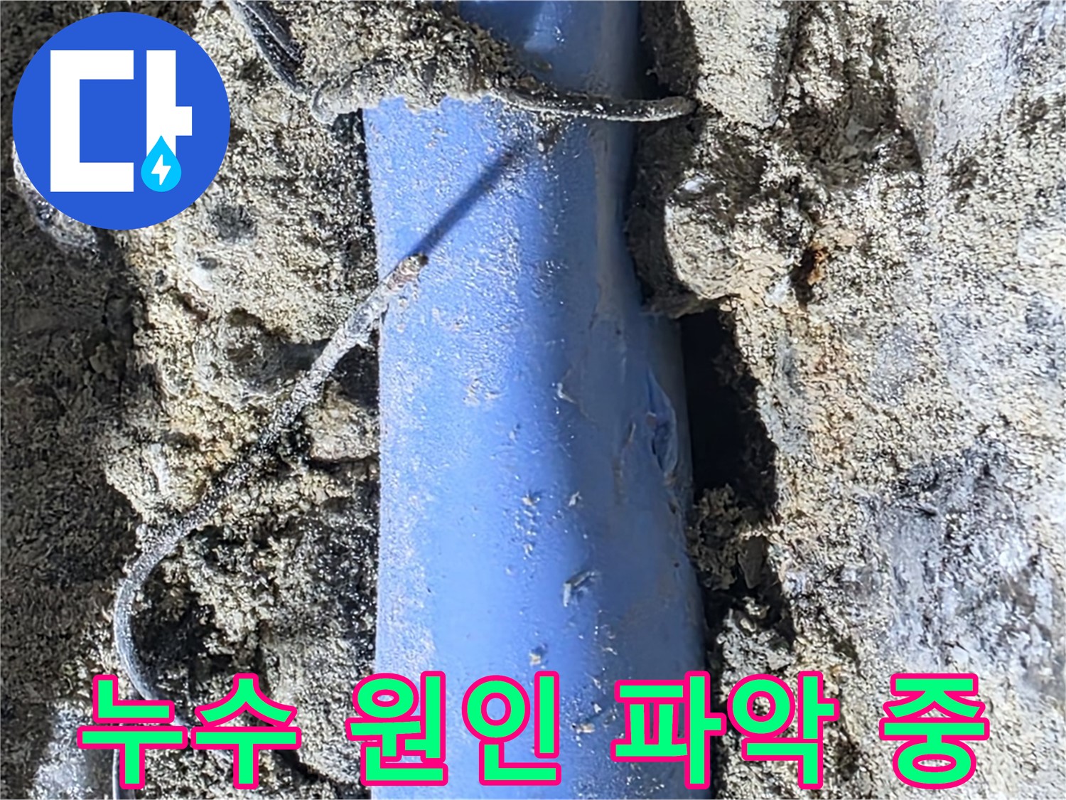분당 쇳골로 누수 - 누수의 정확한 원인을 파악하기 위해 배관 상태를 꼼꼼히 확인하고 있습니다.