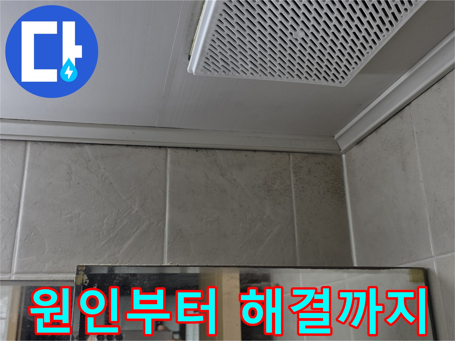 영등포구 당산동 누수 - 욕실 천장 곰팡이, 원인부터 해결까지 완벽하게 책임집니다!