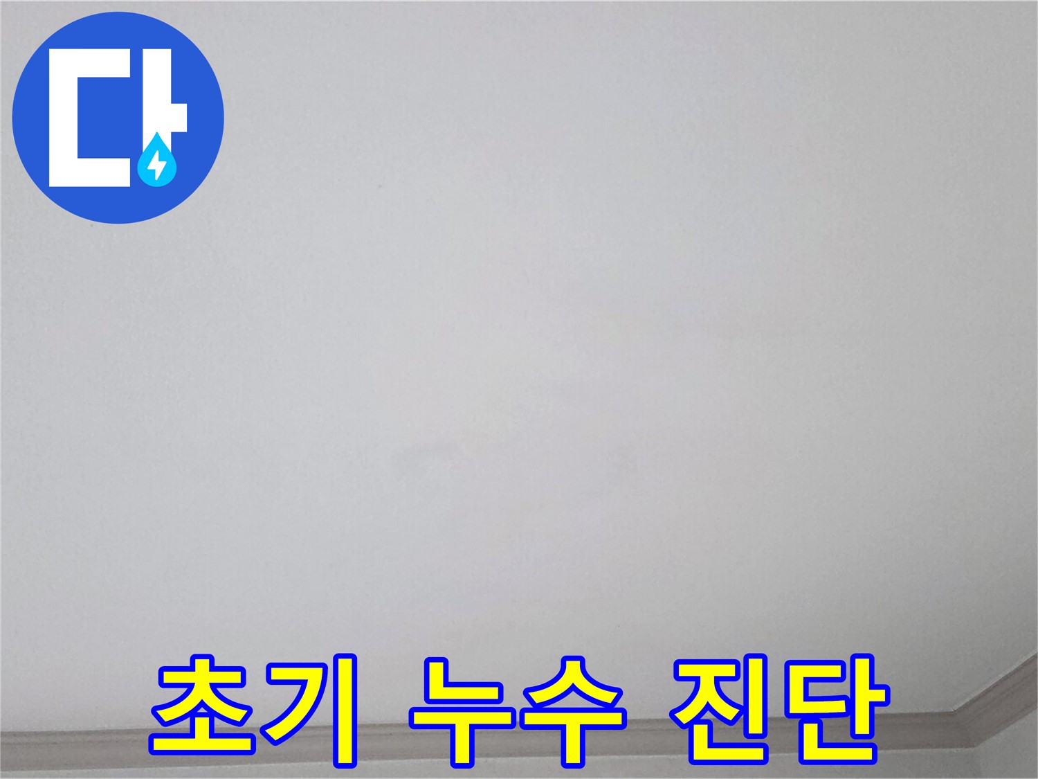 논현동 논현주공1단지 아파트 천장 - 초기 누수 원인 진단을 위한 꼼꼼한 검사