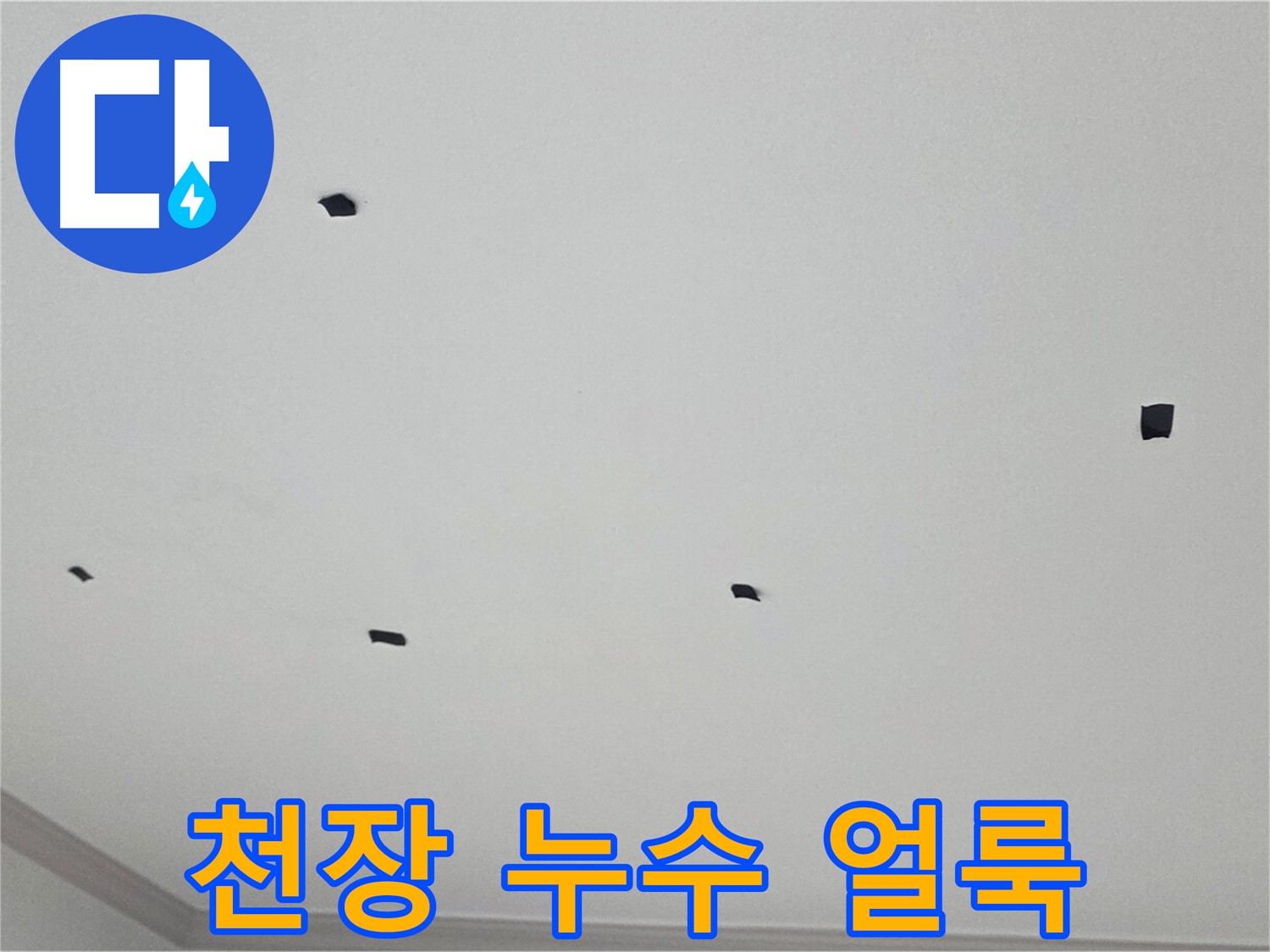 논현주공1단지 아파트 천장 누수 얼룩 - 누수 위치를 특정하기 위한 중요한 단서
